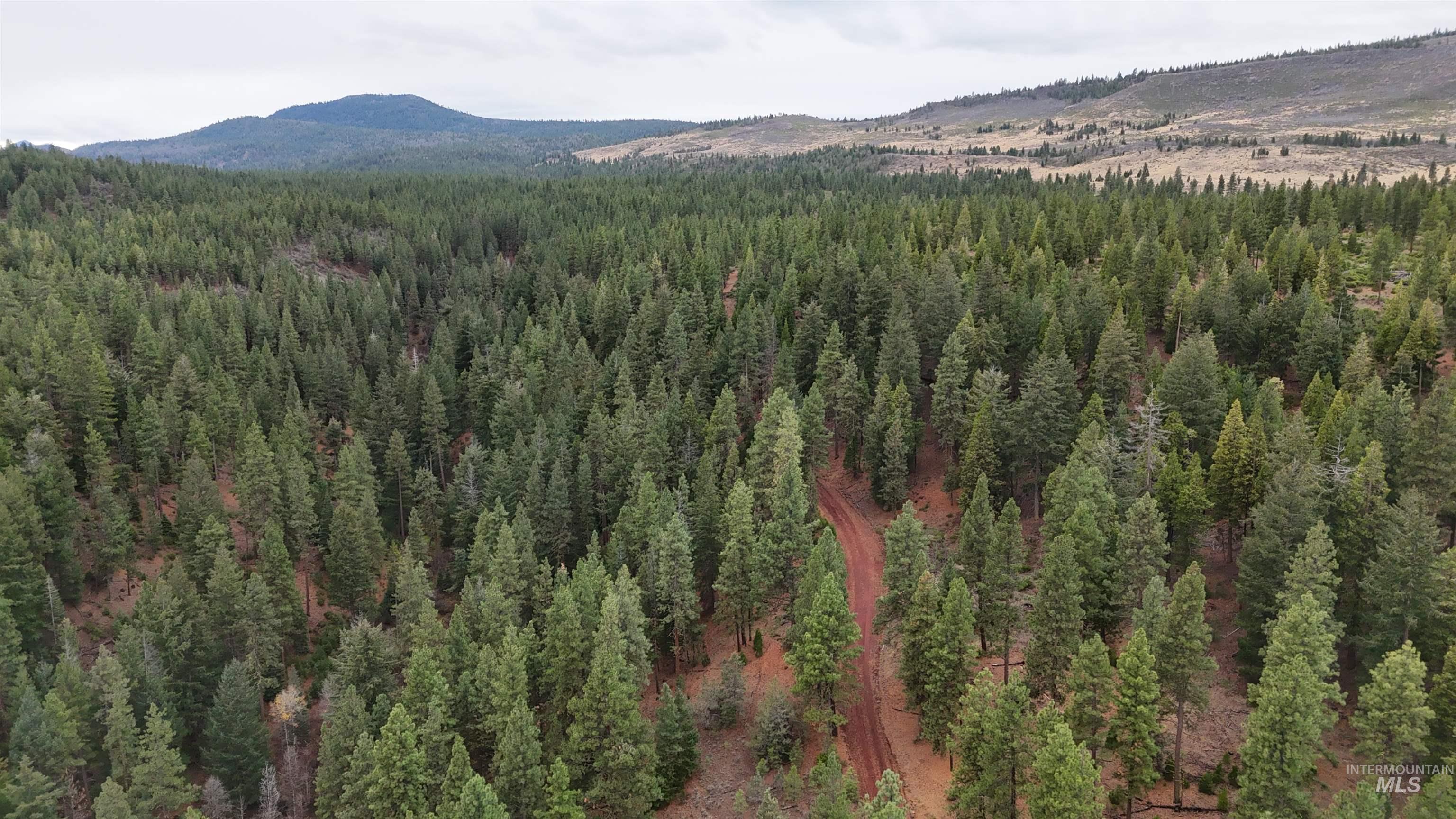 TBD TBD, Klamath Falls, Oregon 97601, Land For Sale, Price $3,500,000, 98969013