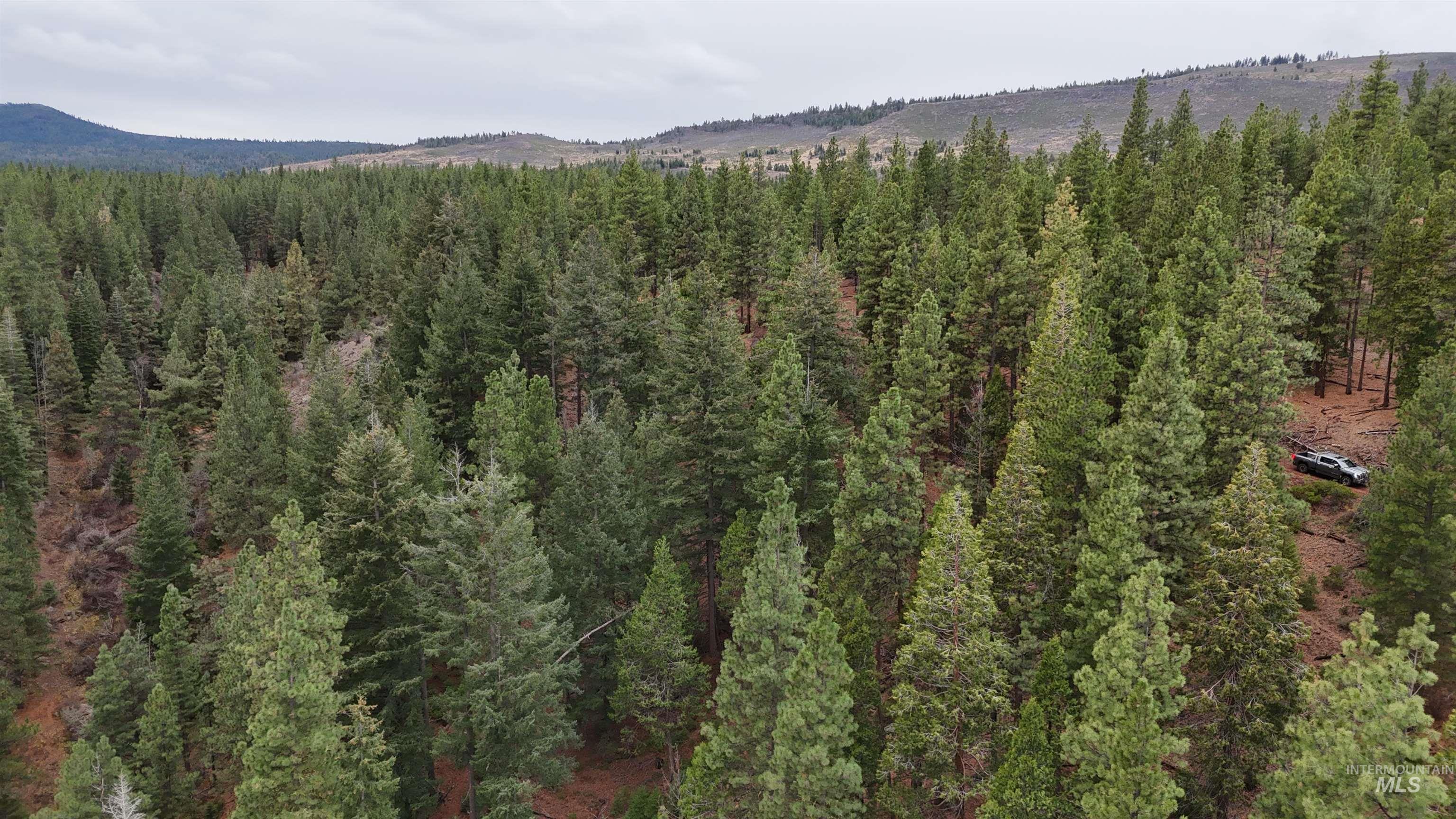 TBD TBD, Klamath Falls, Oregon 97601, Land For Sale, Price $3,500,000, 98969013