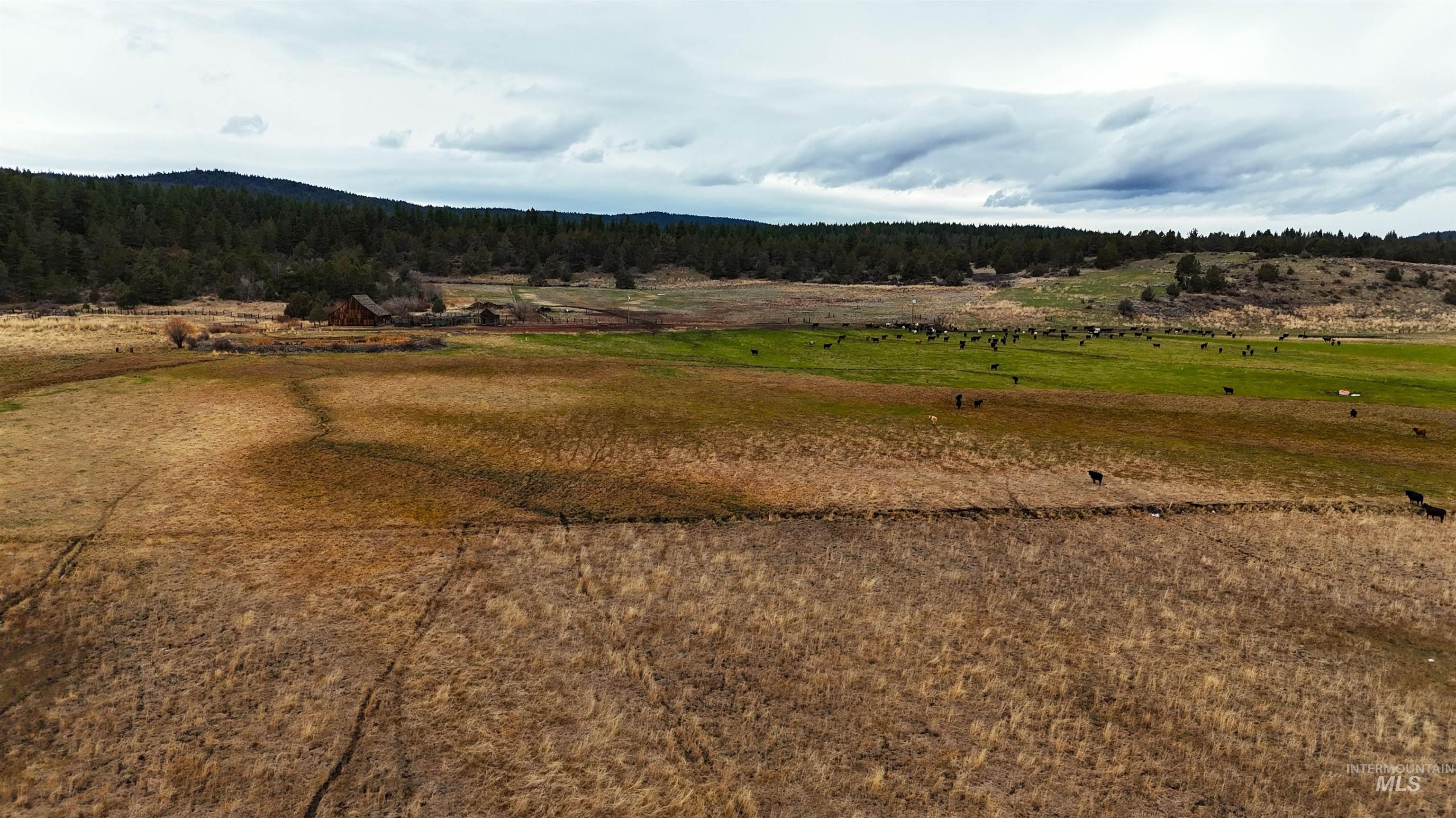 TBD TBD, Klamath Falls, Oregon 97601, Land For Sale, Price $3,500,000, 98969013