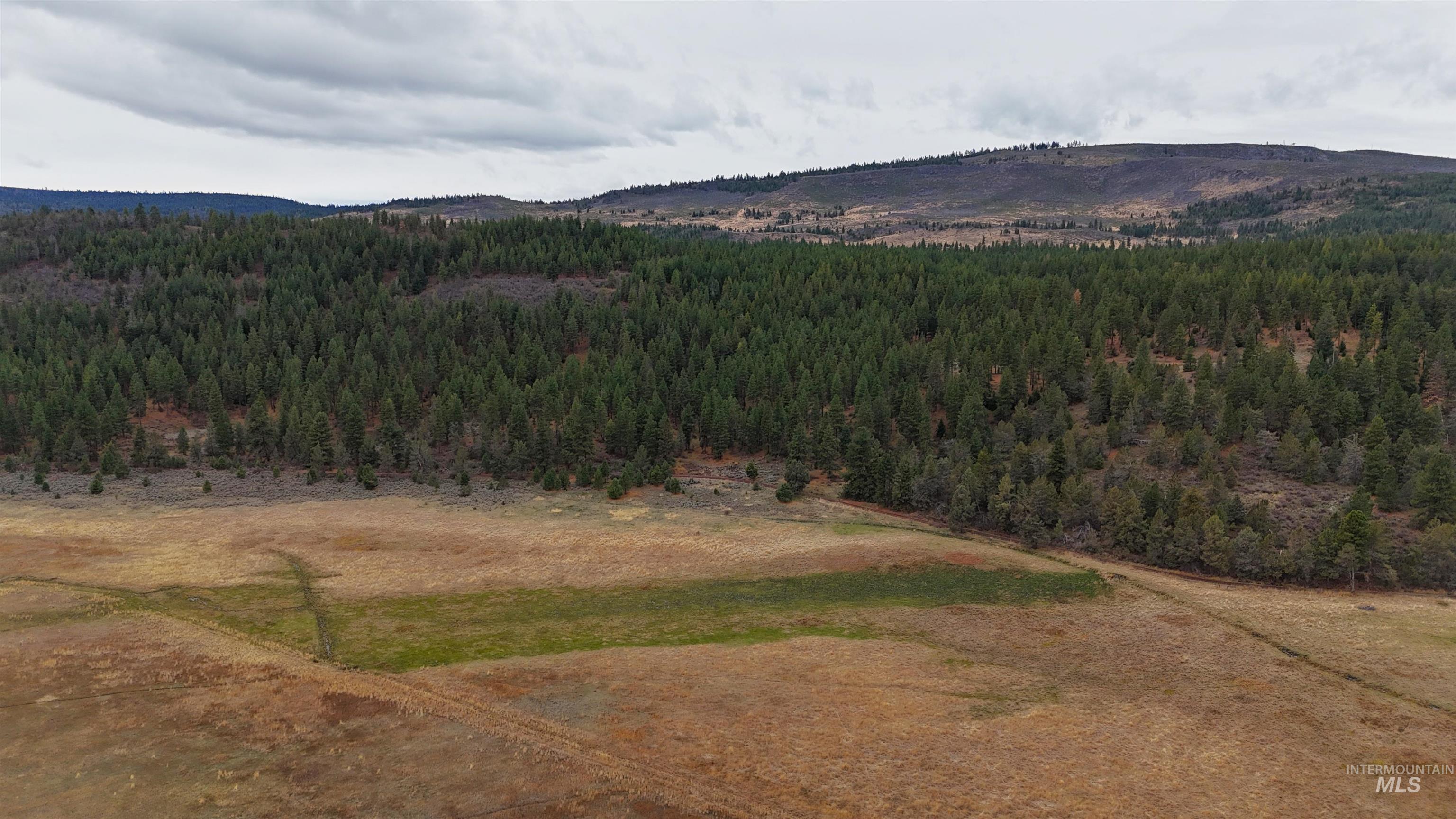 TBD TBD, Klamath Falls, Oregon 97601, Land For Sale, Price $3,500,000, 98969013