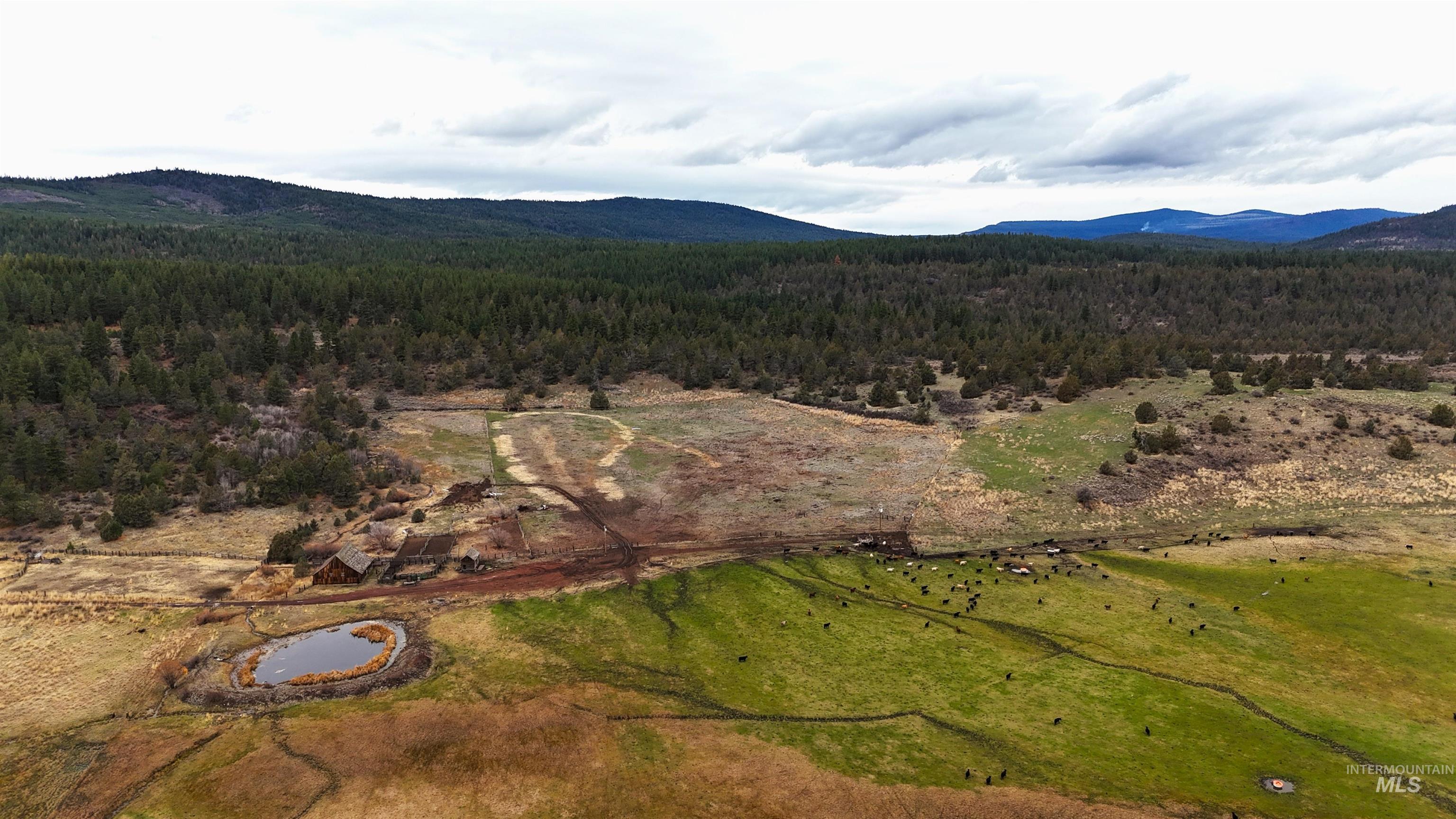 TBD TBD, Klamath Falls, Oregon 97601, Land For Sale, Price $3,500,000, 98969013