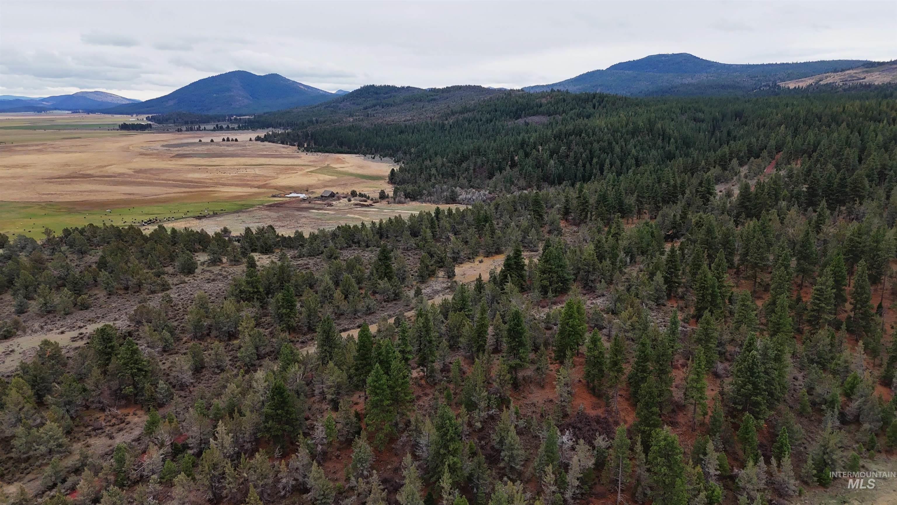 TBD TBD, Klamath Falls, Oregon 97601, Land For Sale, Price $3,500,000, 98969013