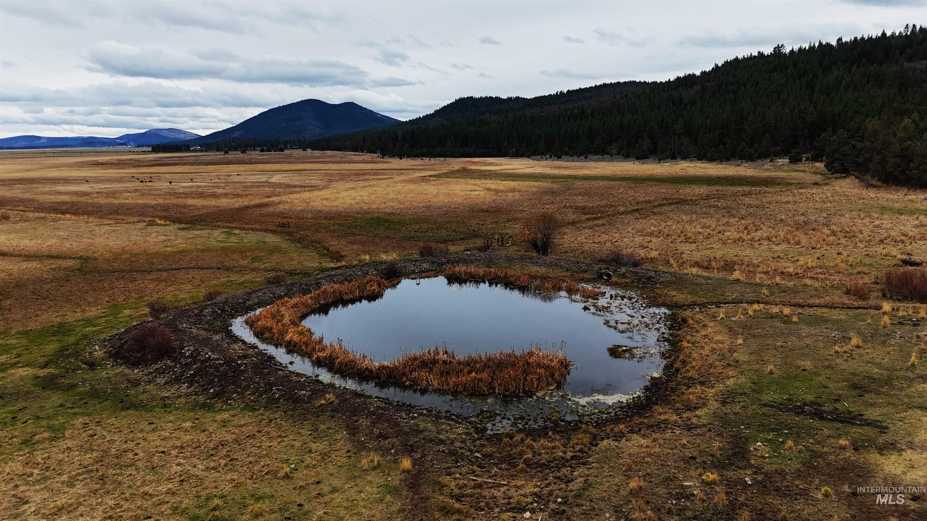 TBD TBD, Klamath Falls, Oregon 97601, Land For Sale, Price $3,500,000, 98969013