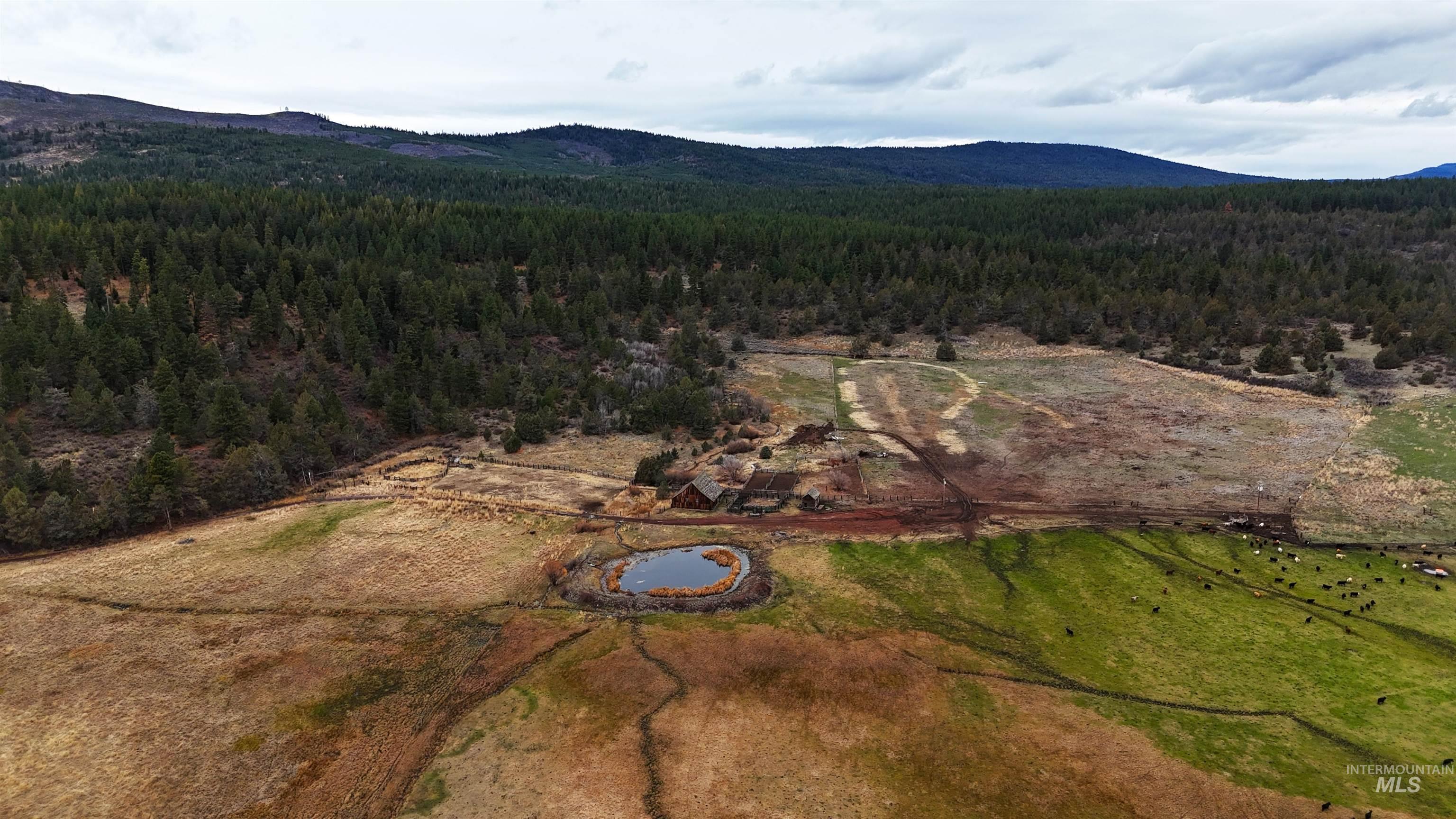 TBD TBD, Klamath Falls, Oregon 97601, Land For Sale, Price $3,500,000, 98969013