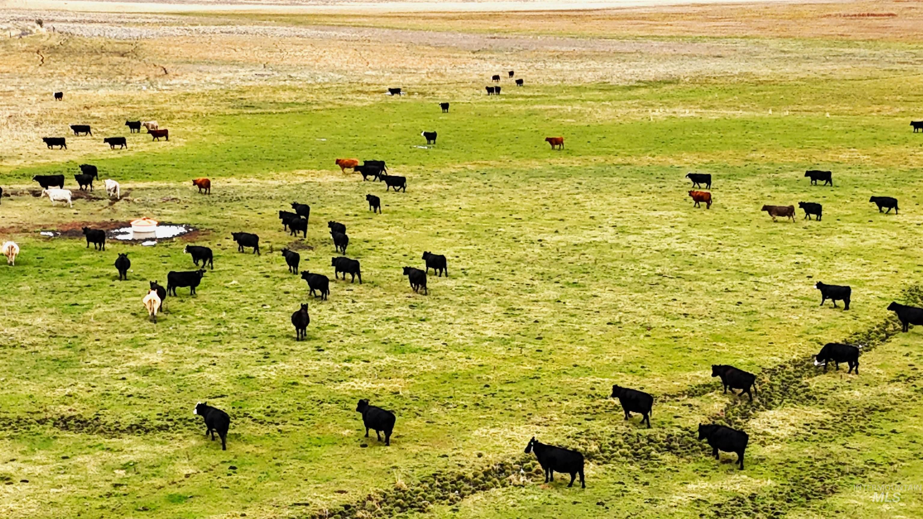 TBD TBD, Klamath Falls, Oregon 97601, Land For Sale, Price $3,500,000, 98969013