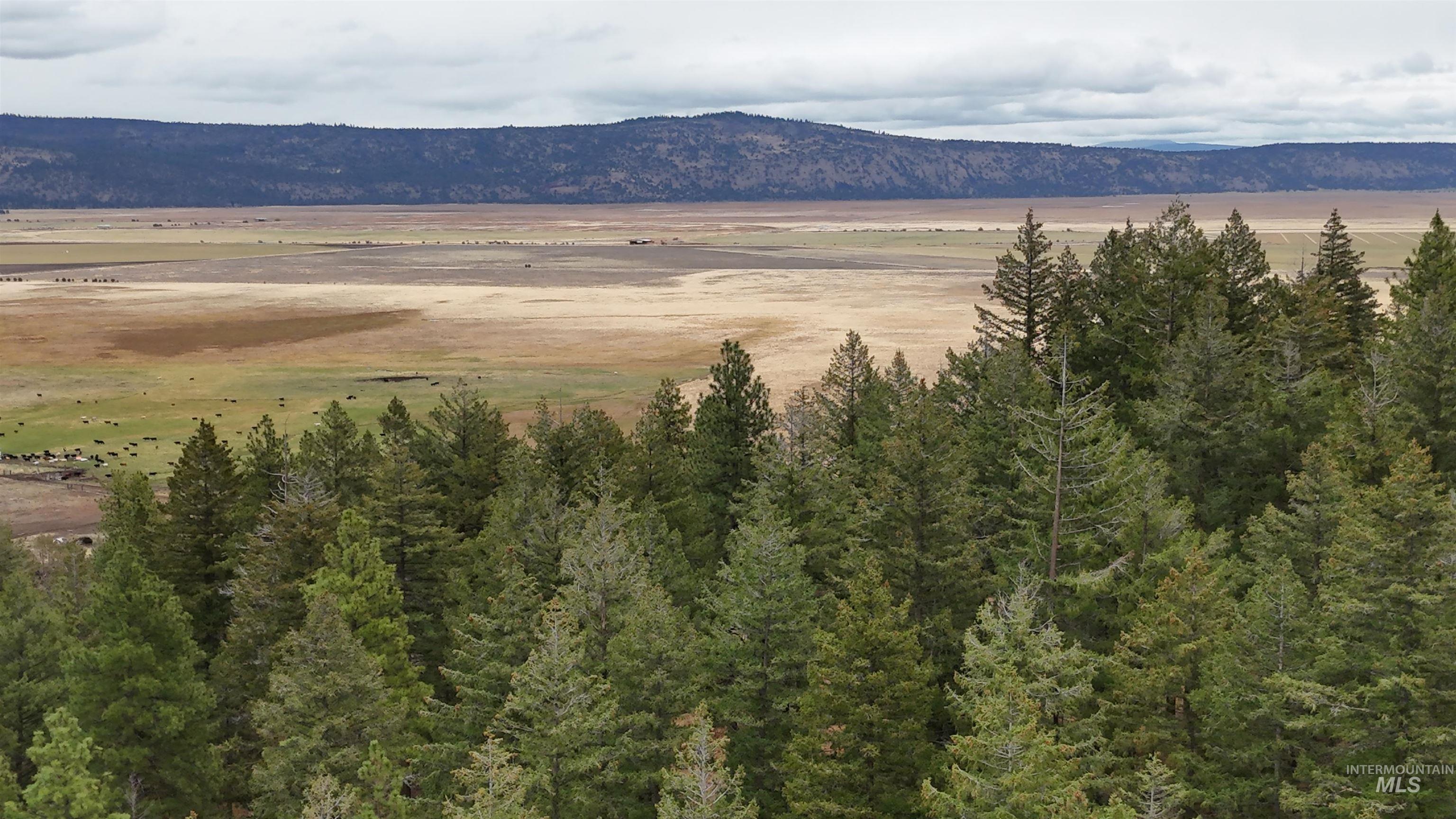 TBD TBD, Klamath Falls, Oregon 97601, Land For Sale, Price $3,500,000, 98969013