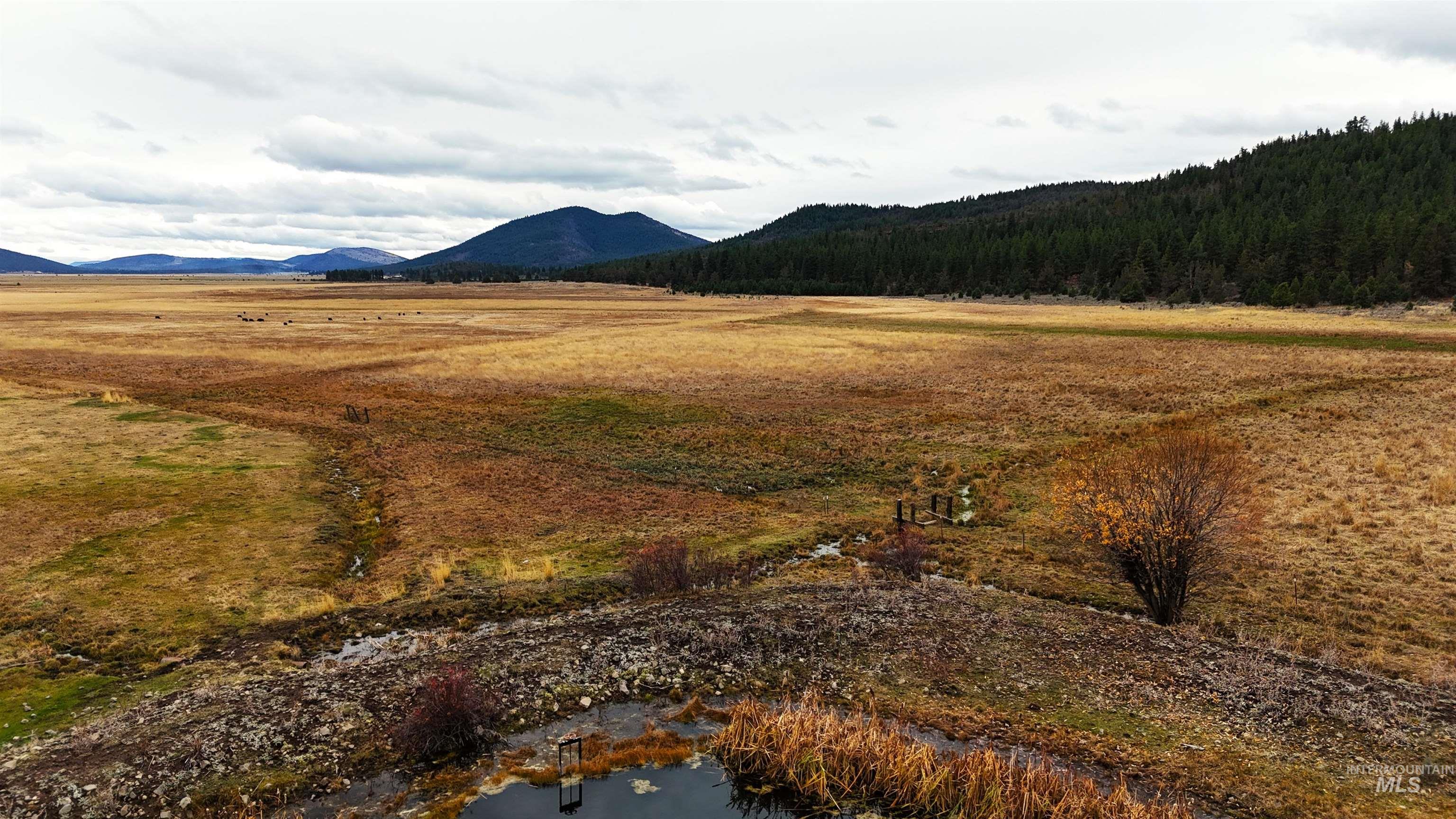 TBD TBD, Klamath Falls, Oregon 97601, Land For Sale, Price $3,500,000, 98969013