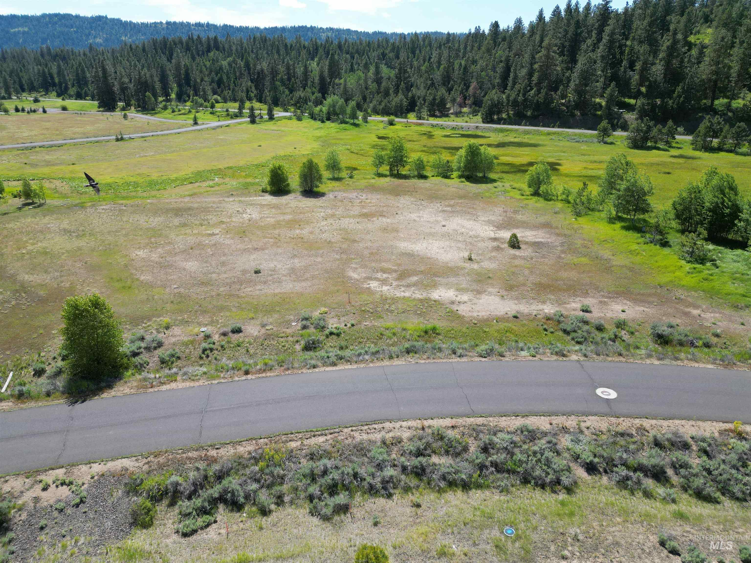 15 Meadowbright Dr, McCall, Idaho 83638, Land For Sale, Price $175,000, 98969027