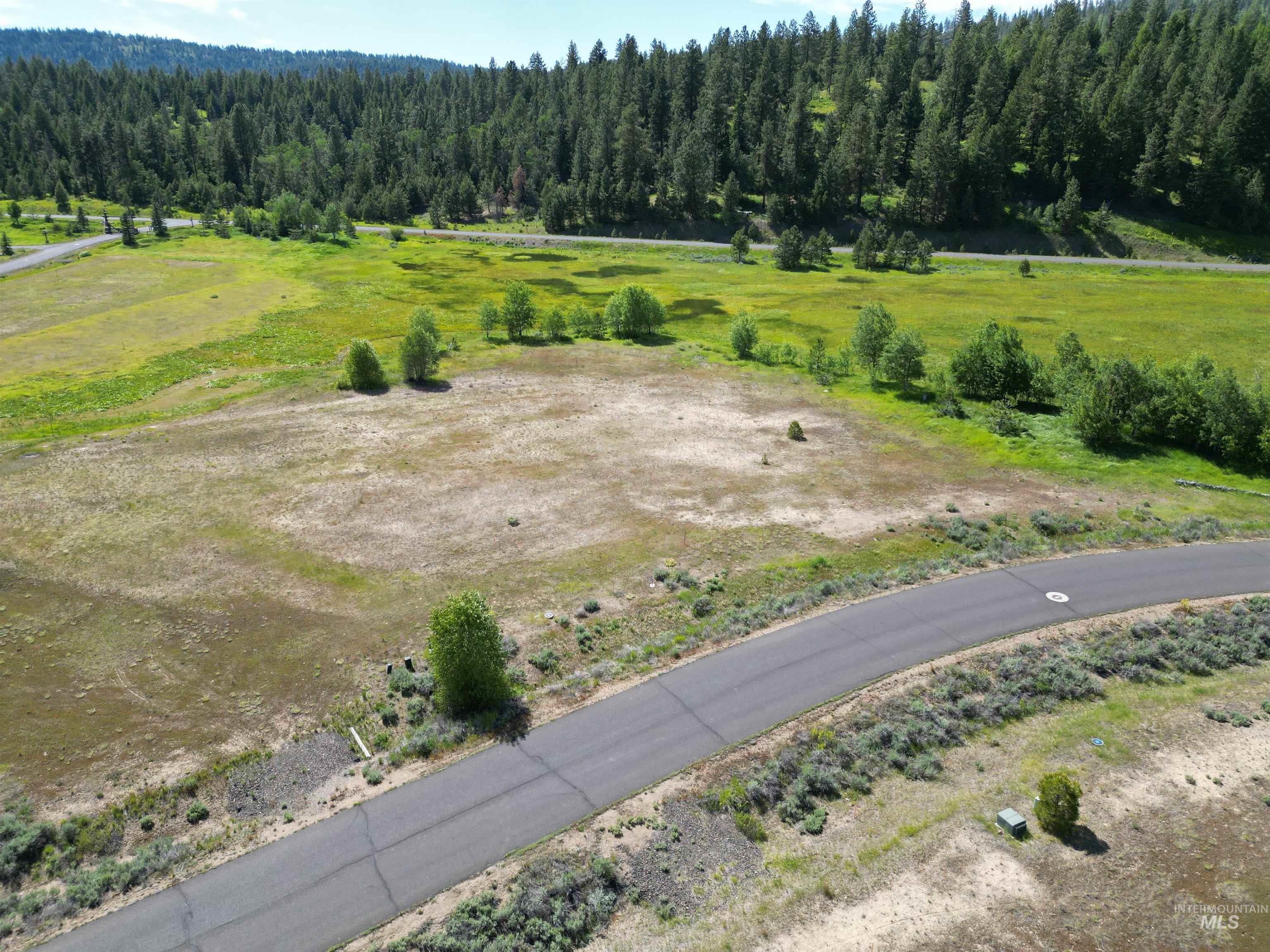 15 Meadowbright Dr, McCall, Idaho 83638, Land For Sale, Price $175,000, 98969027