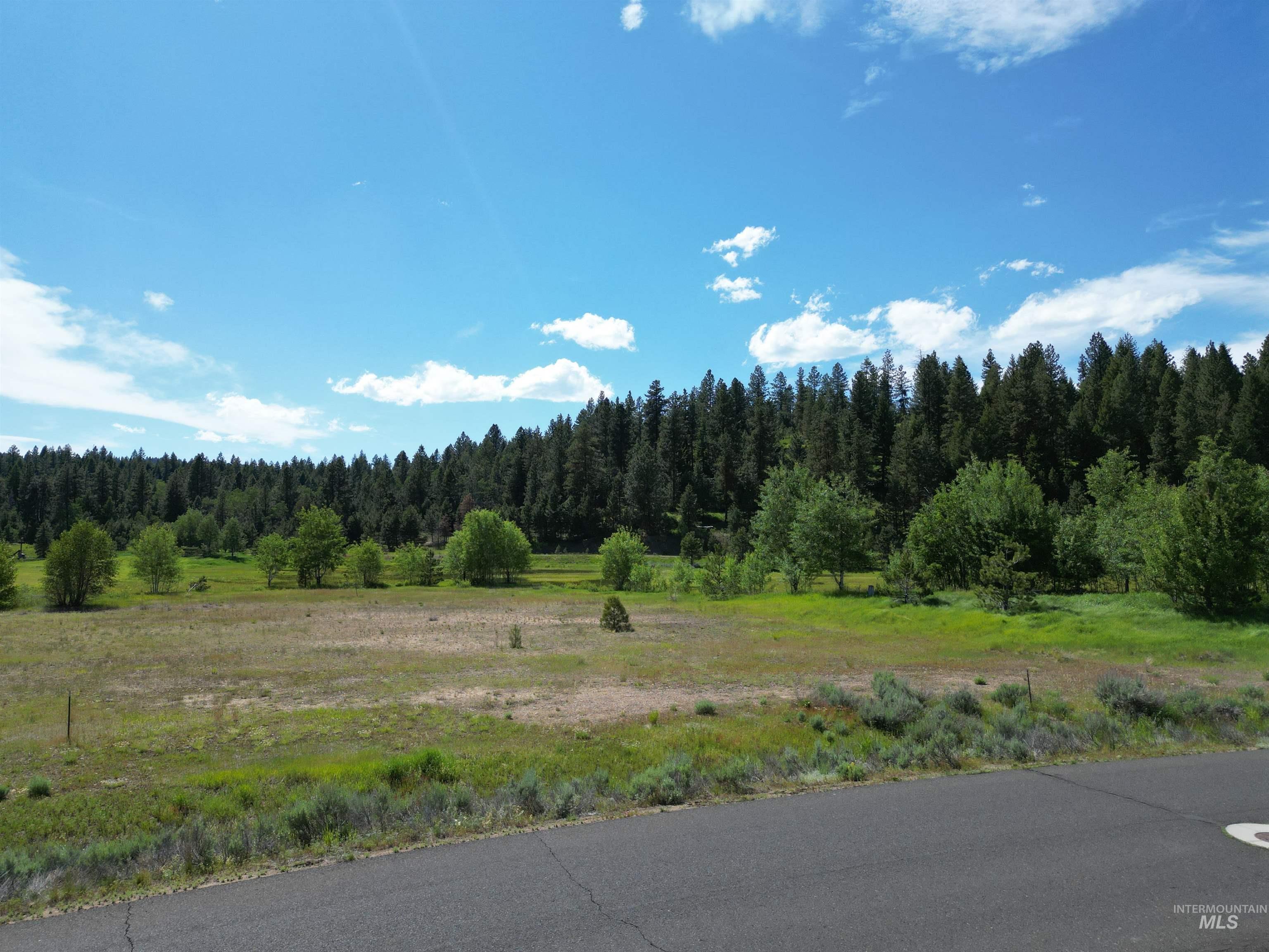 15 Meadowbright Dr, McCall, Idaho 83638, Land For Sale, Price $175,000, 98969027