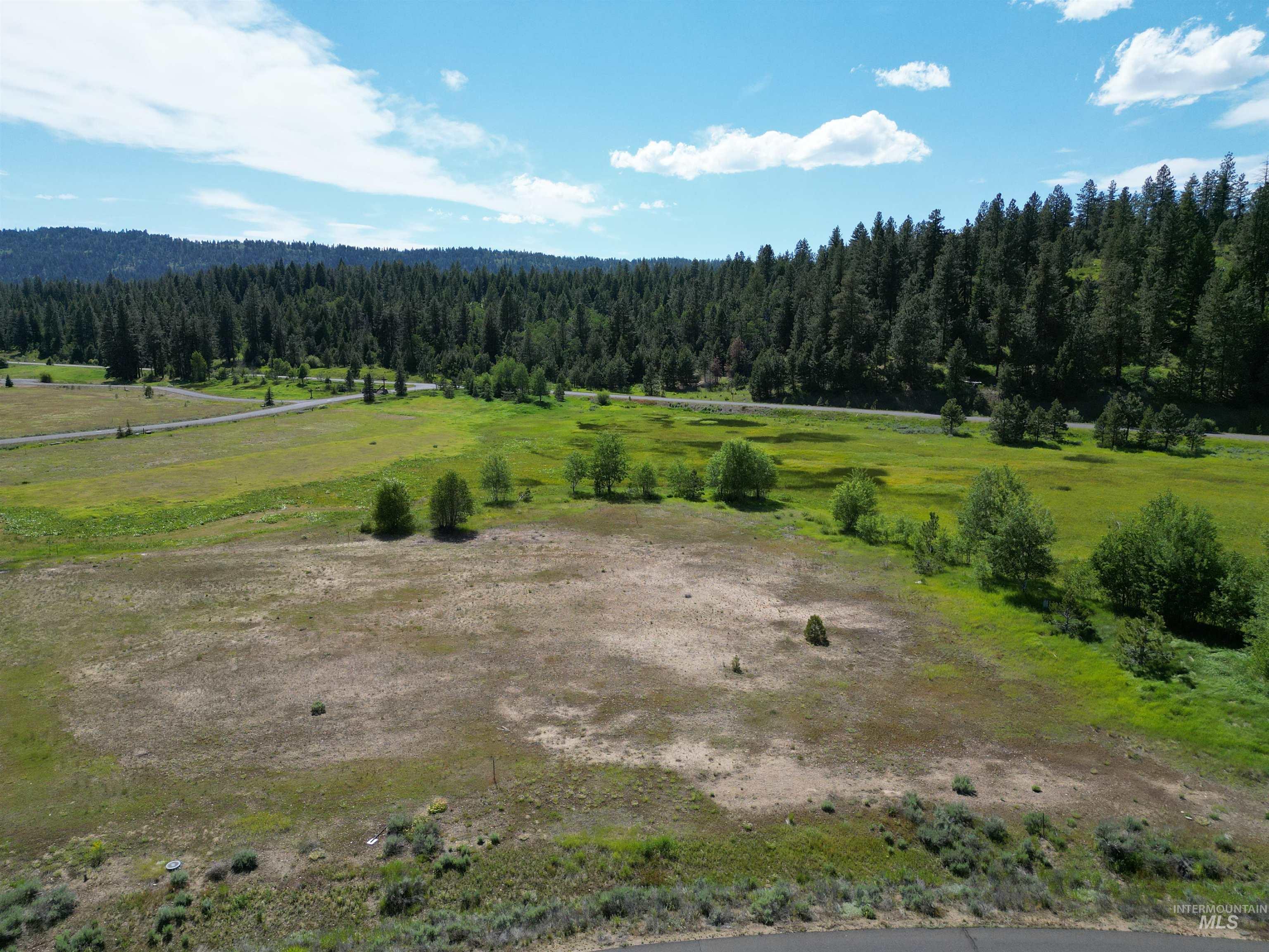 15 Meadowbright Dr, McCall, Idaho 83638, Land For Sale, Price $175,000, 98969027