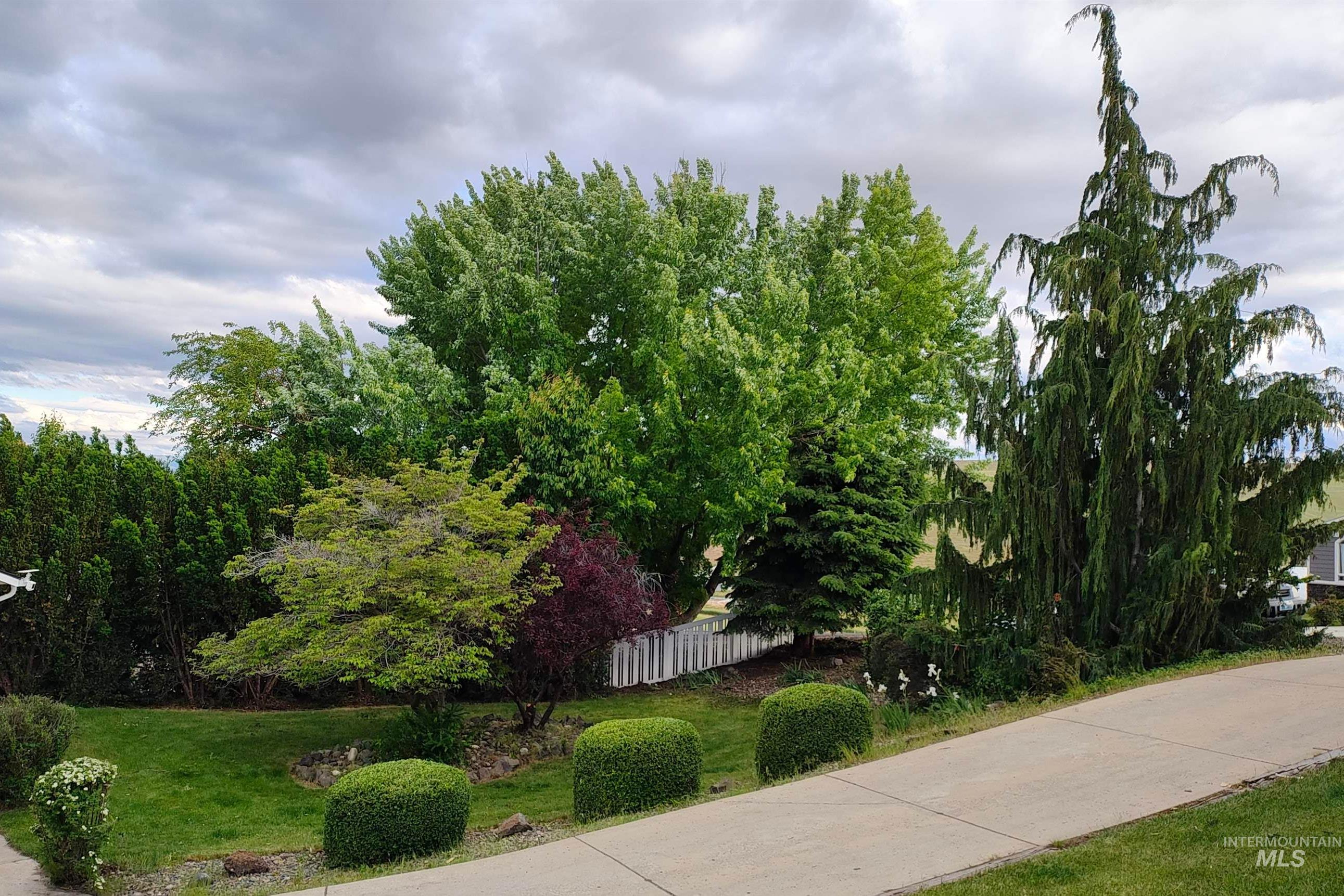 2995 Dove Drive, Clarkston, Washington 99403, 6 Bedrooms, 3 Bathrooms, Residential For Sale, Price $535,000,MLS 98969044