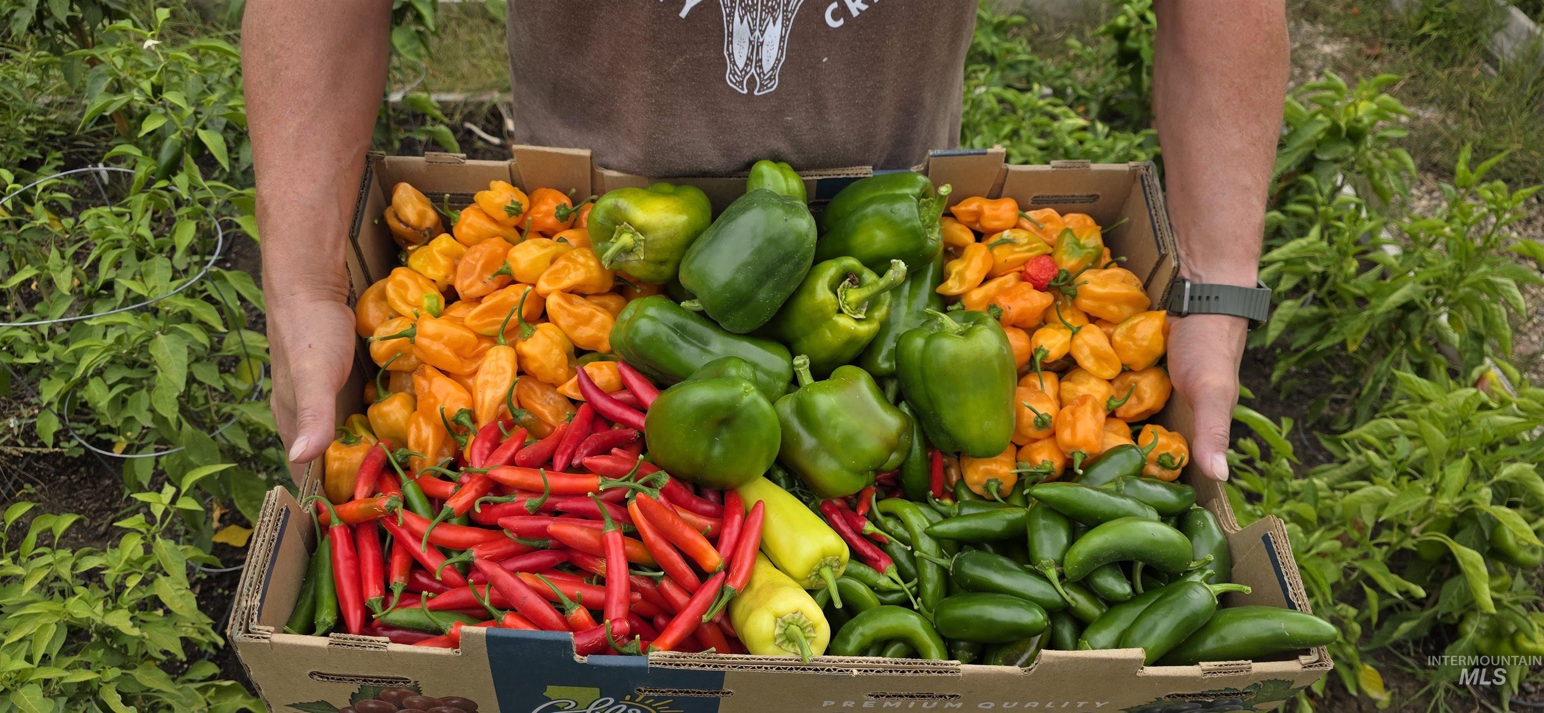 22996 Blessinger Rd, Star, Idaho 83669, 4 Bedrooms, 3 Bathrooms, Residential For Sale, Price $682,000,MLS 98969045