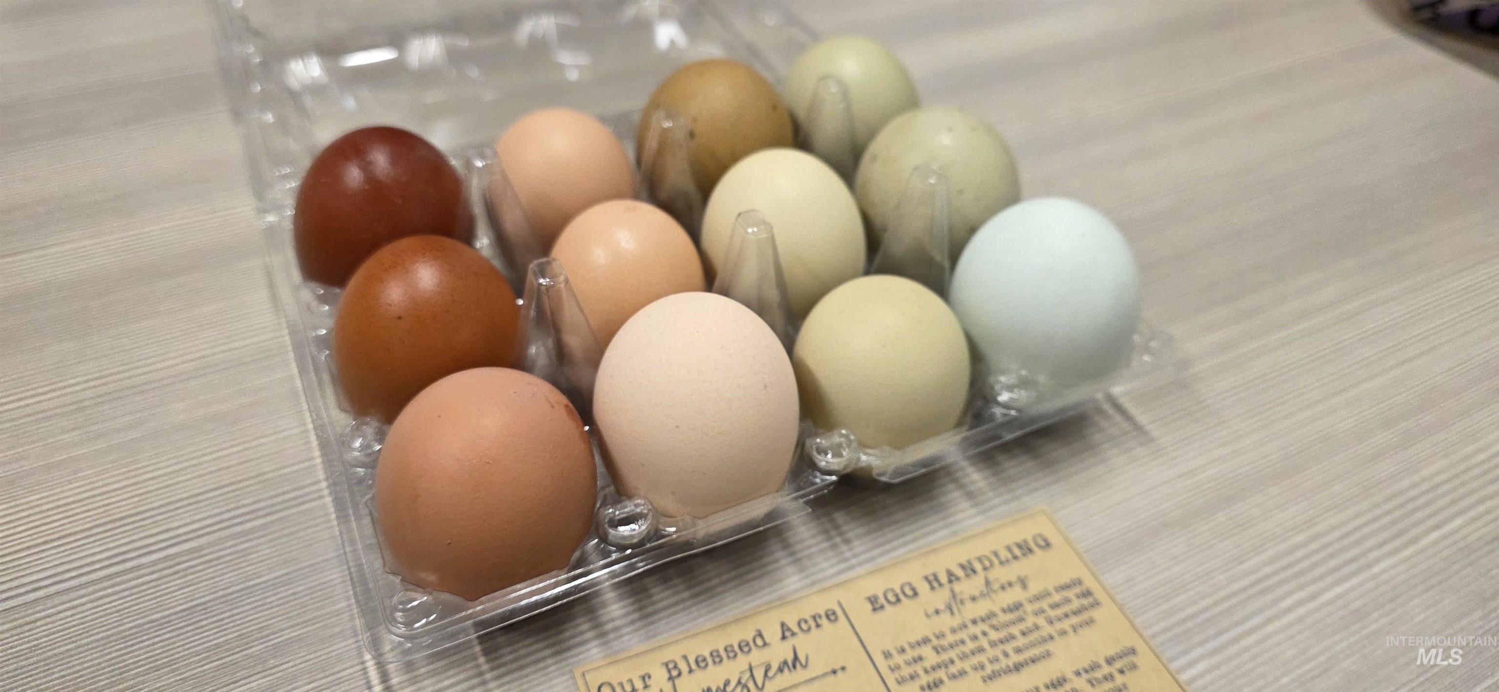 22996 Blessinger Rd, Star, Idaho 83669, 4 Bedrooms, 3 Bathrooms, Residential For Sale, Price $682,000,MLS 98969045