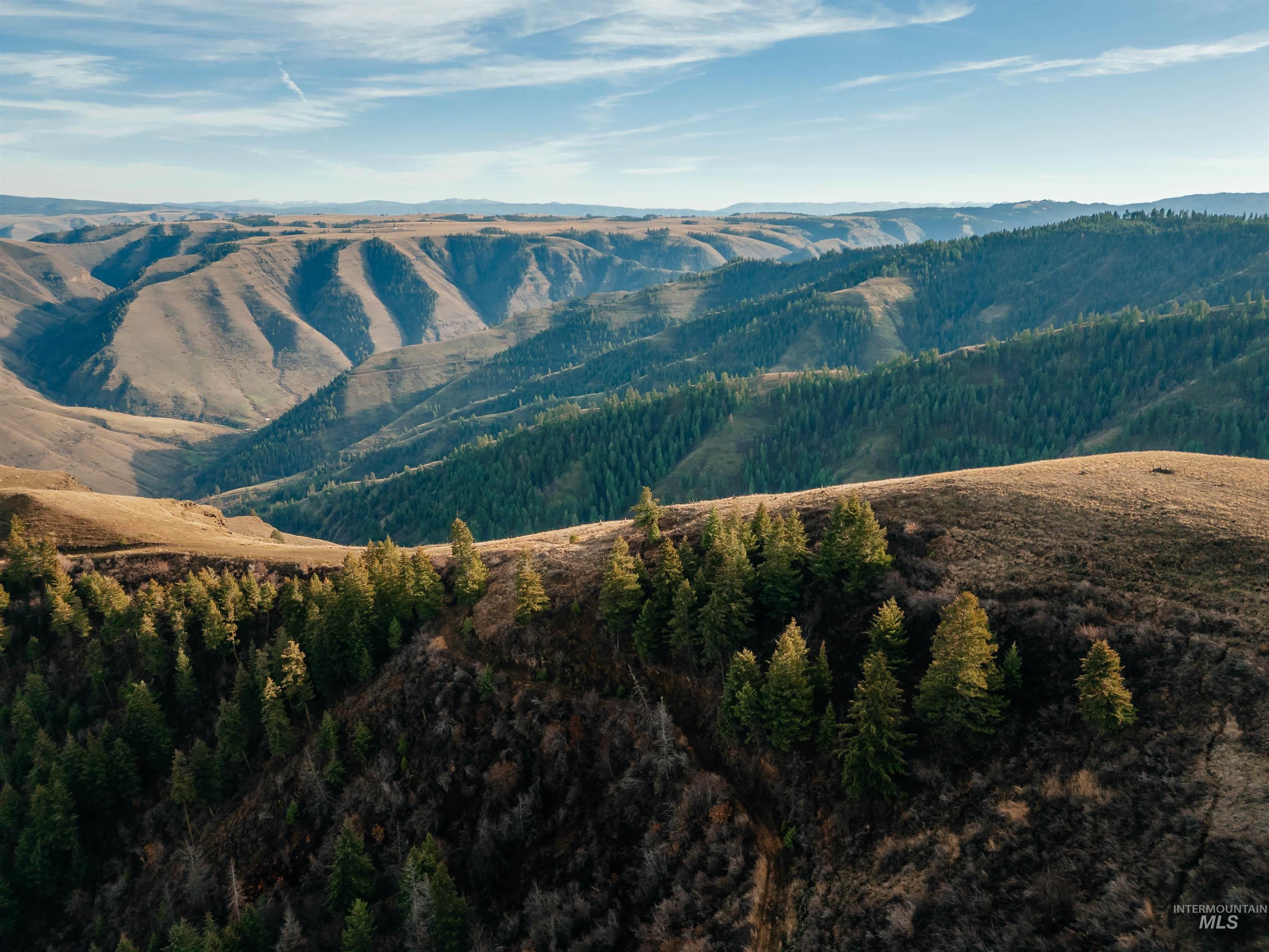 TBD Boles Road, CottonWood, Idaho 83522, Land For Sale, Price $1,500,000, 98969065
