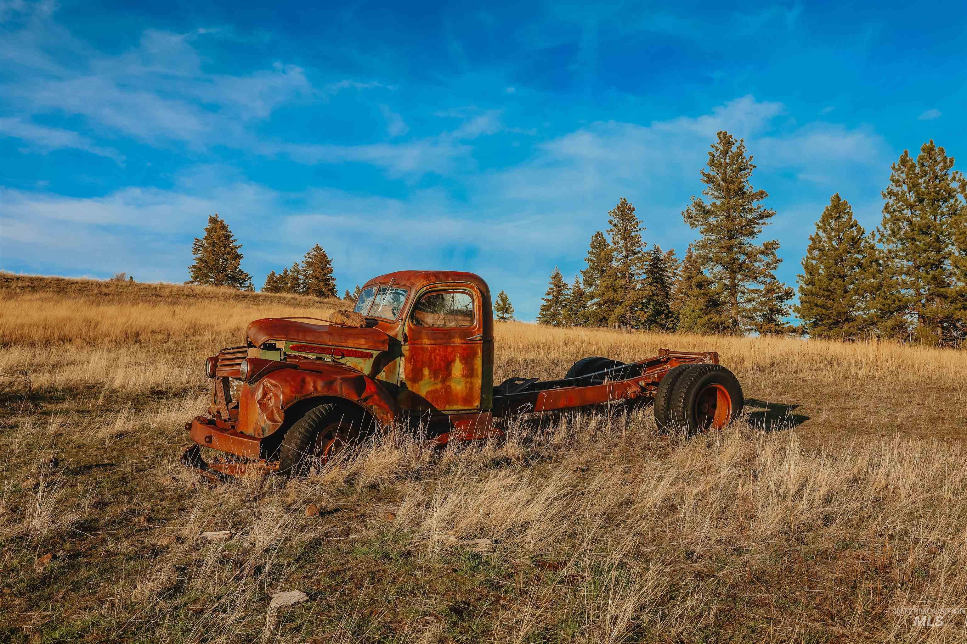 TBD Boles Road, CottonWood, Idaho 83522, Land For Sale, Price $1,500,000, 98969065
