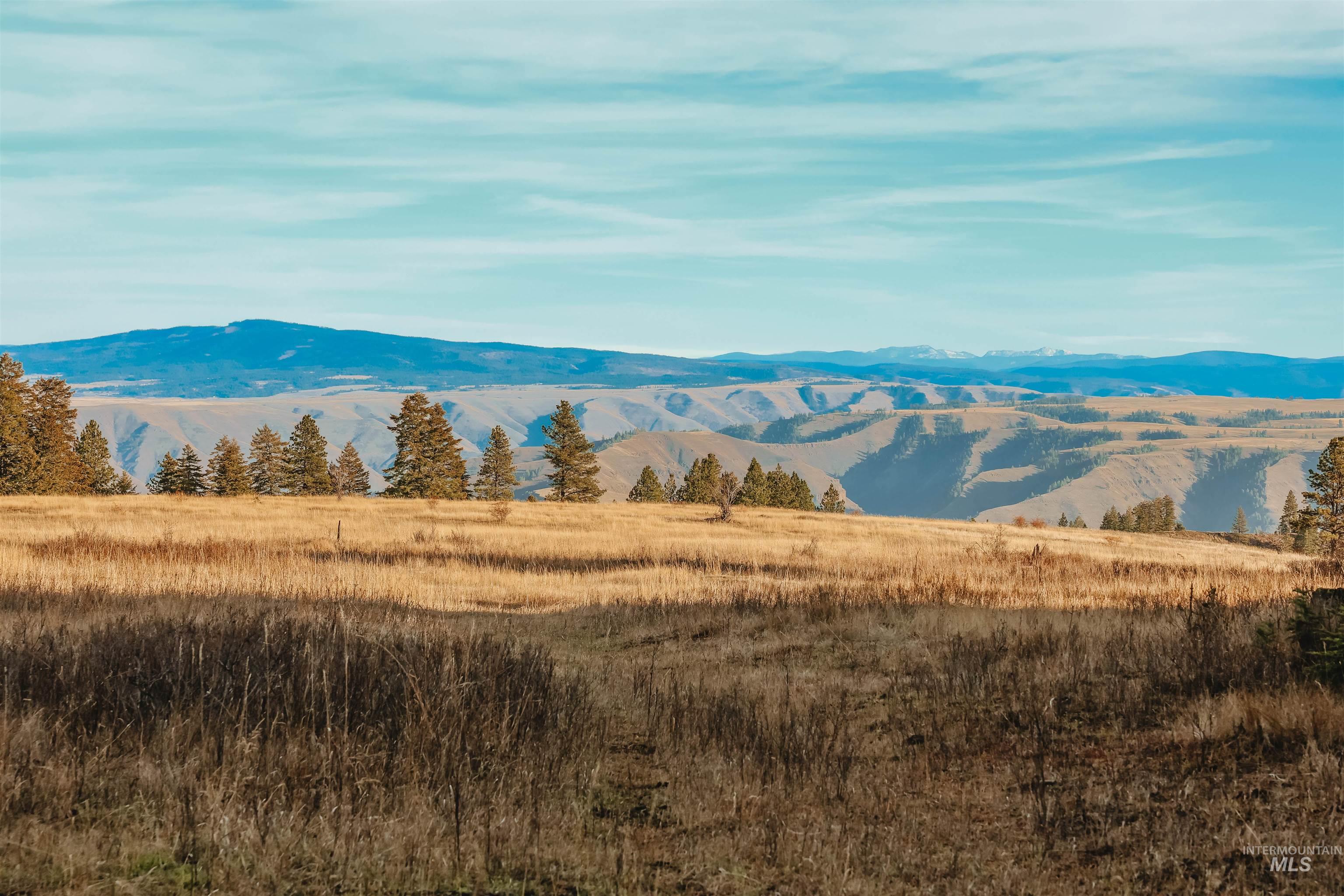TBD Boles Road, CottonWood, Idaho 83522, Land For Sale, Price $1,500,000, 98969065