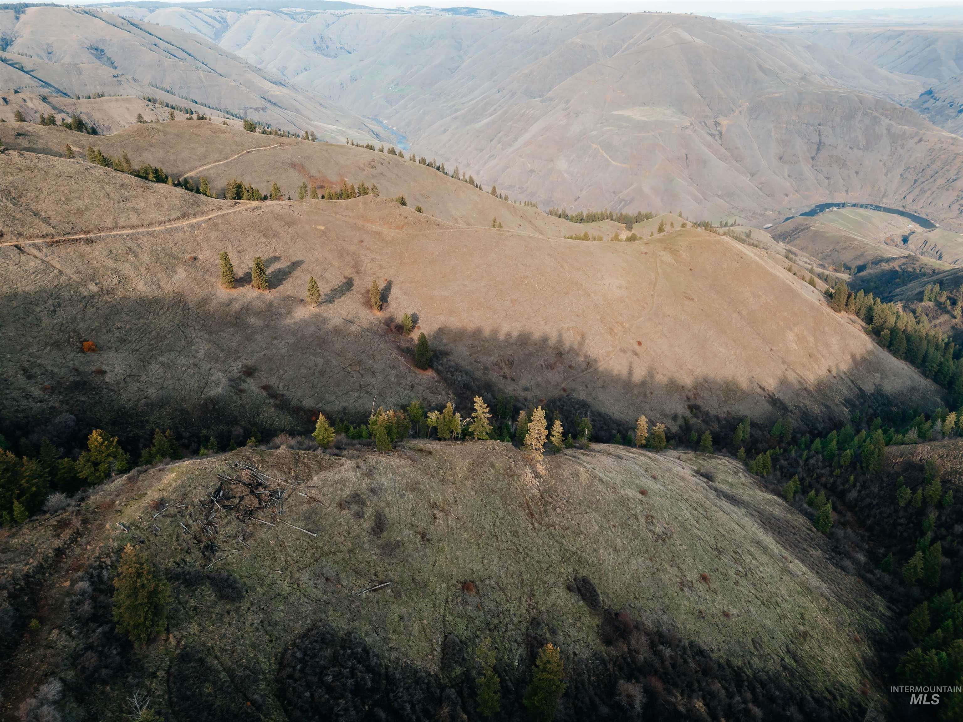 TBD Boles Road, CottonWood, Idaho 83522, Land For Sale, Price $1,500,000, 98969065