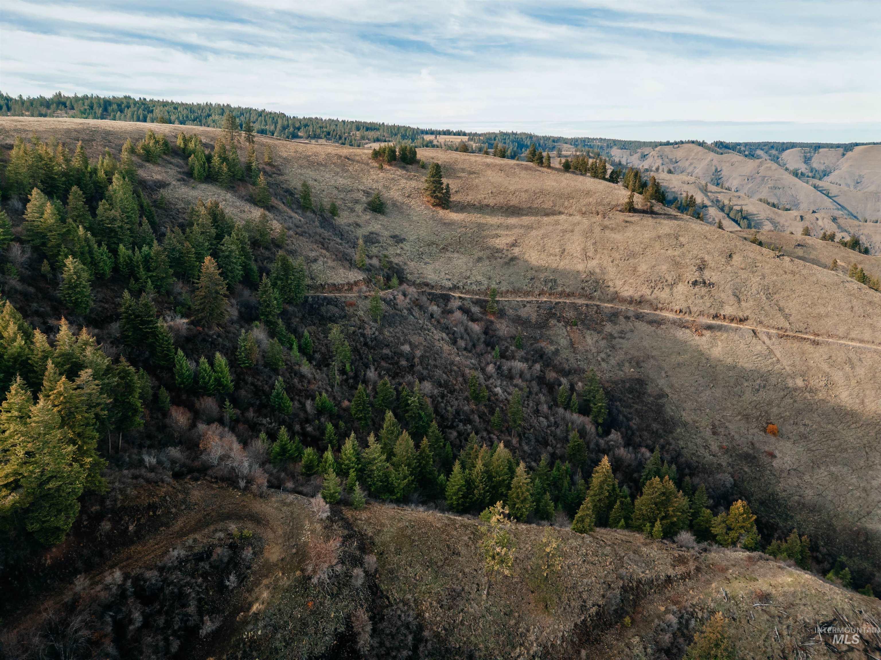 TBD Boles Road, CottonWood, Idaho 83522, Land For Sale, Price $1,500,000, 98969065