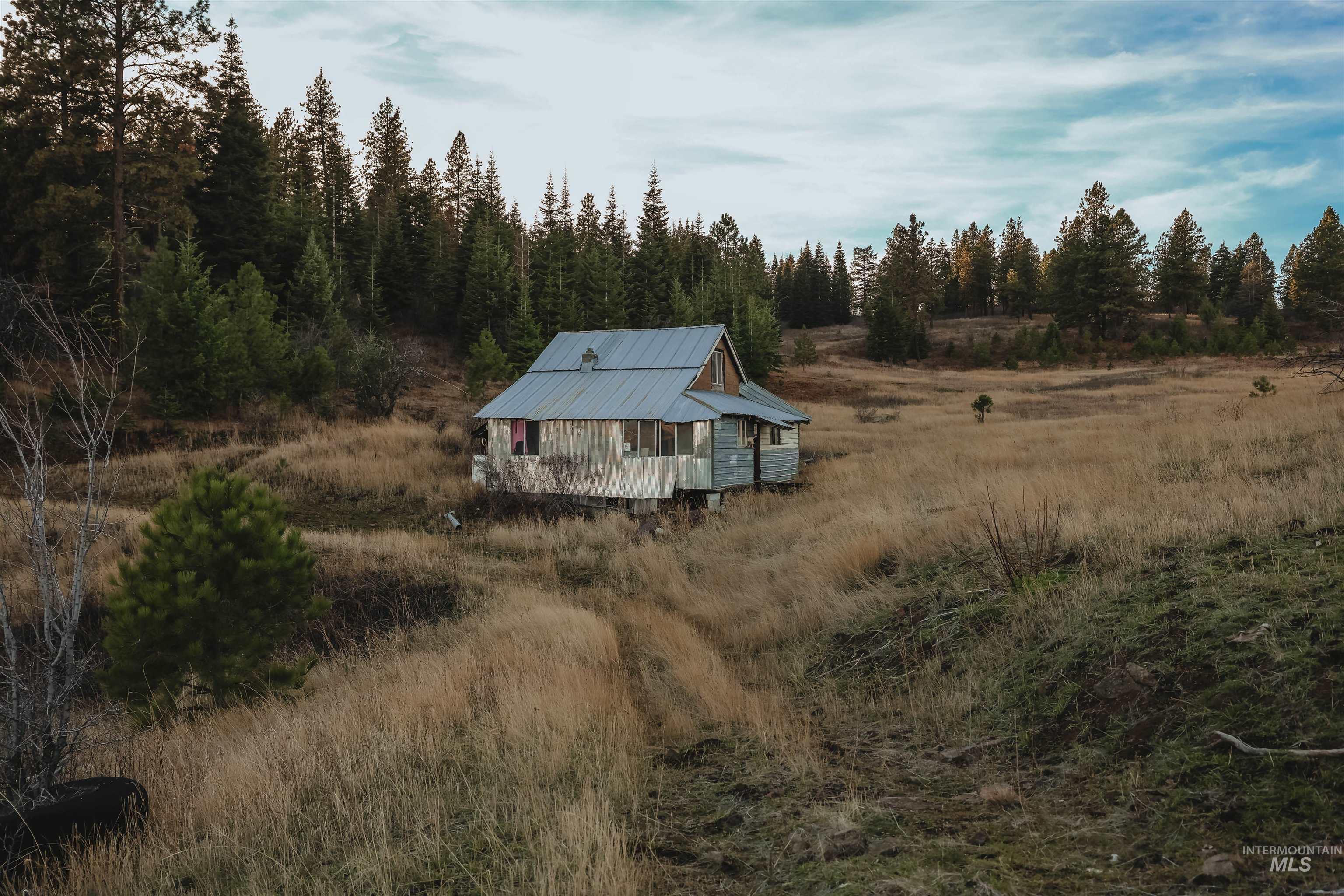 TBD Boles Road, CottonWood, Idaho 83522, Land For Sale, Price $1,500,000, 98969065