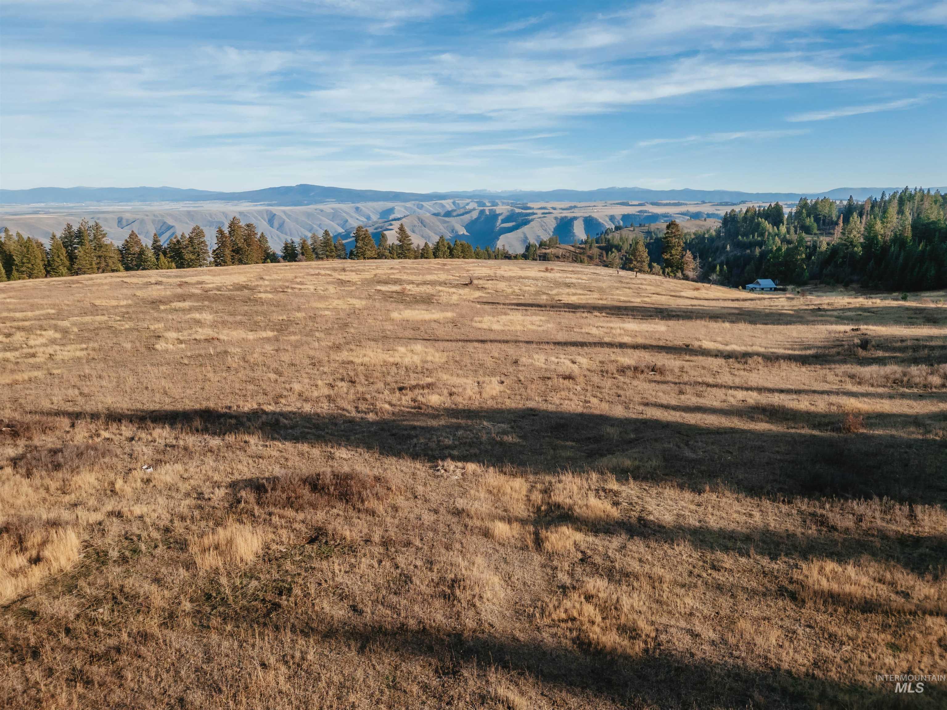 TBD Boles Road, CottonWood, Idaho 83522, Land For Sale, Price $1,500,000, 98969065