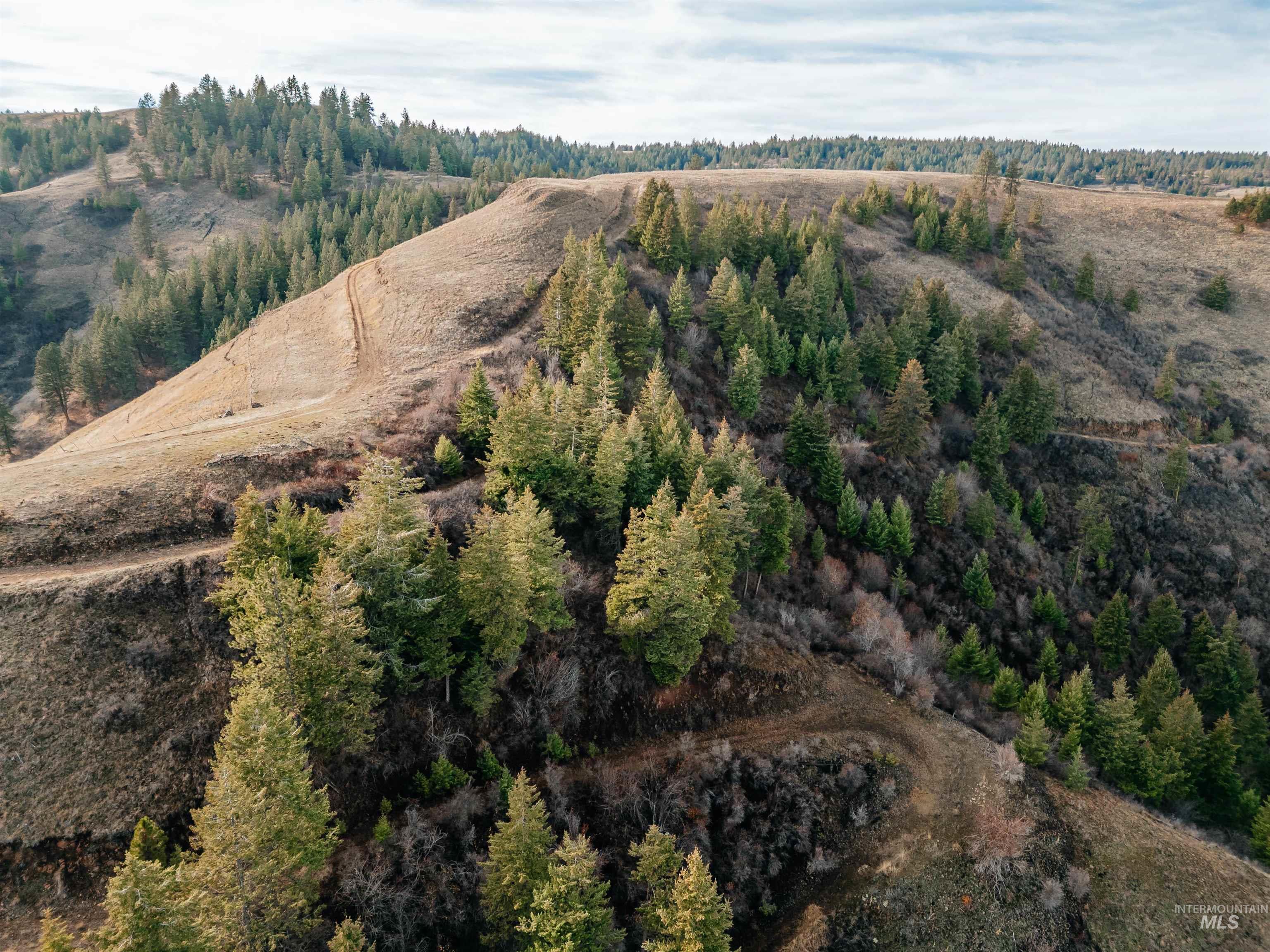 TBD Boles Road, CottonWood, Idaho 83522, Land For Sale, Price $1,500,000, 98969065
