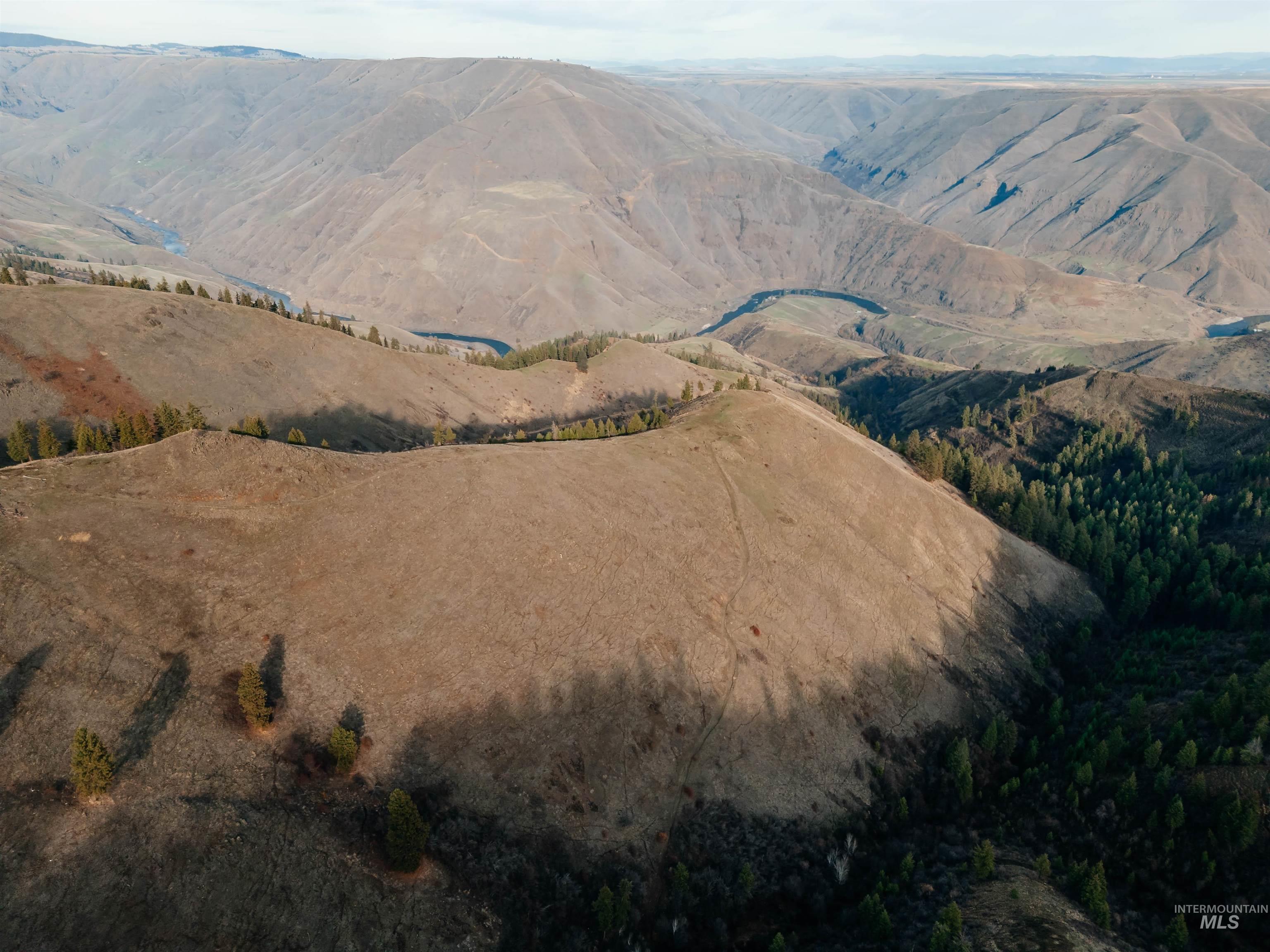 TBD Boles Road, CottonWood, Idaho 83522, Land For Sale, Price $1,500,000, 98969065