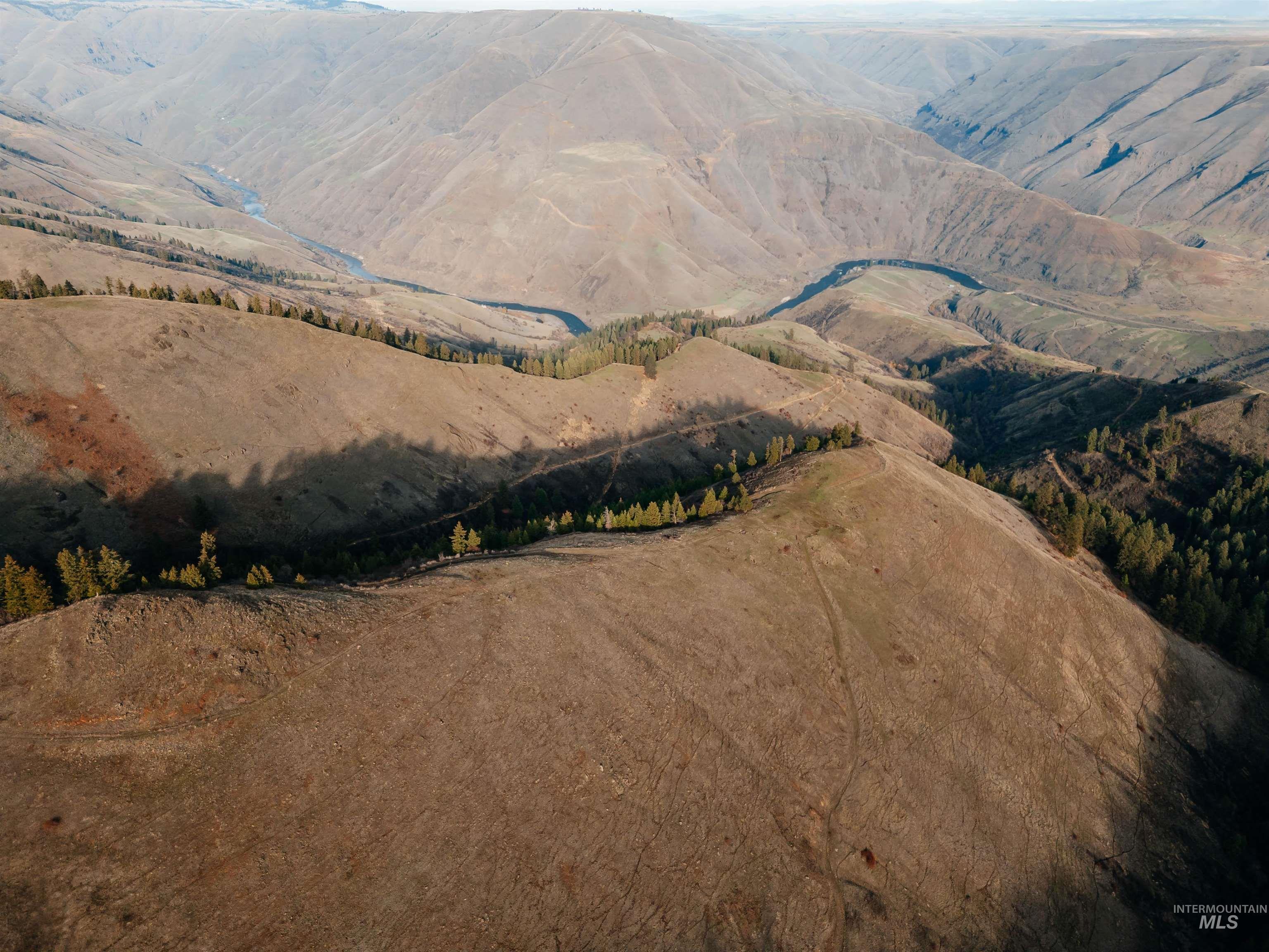 TBD Boles Road, CottonWood, Idaho 83522, Land For Sale, Price $1,500,000, 98969065