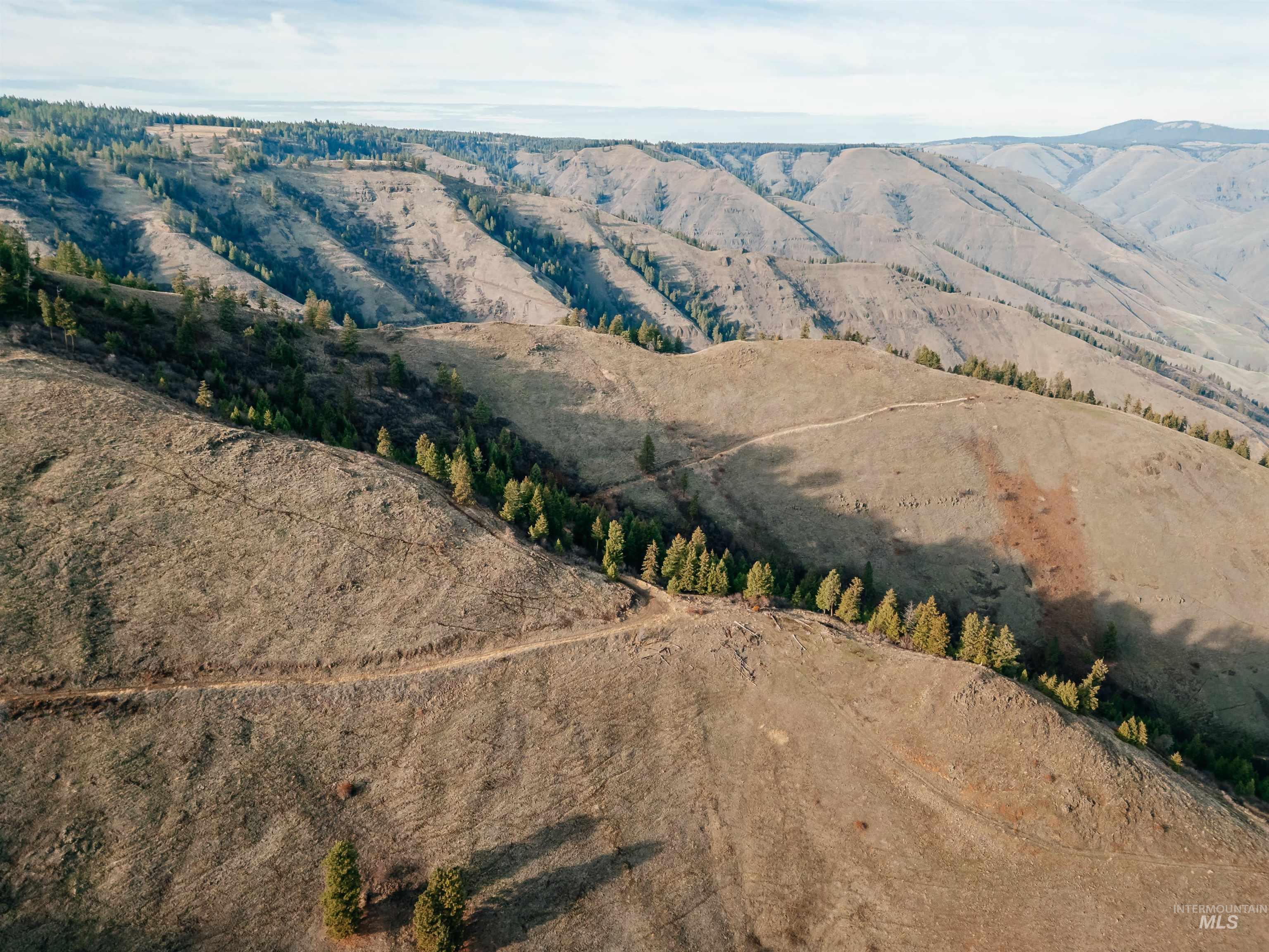 TBD Boles Road, CottonWood, Idaho 83522, Land For Sale, Price $1,500,000, 98969065