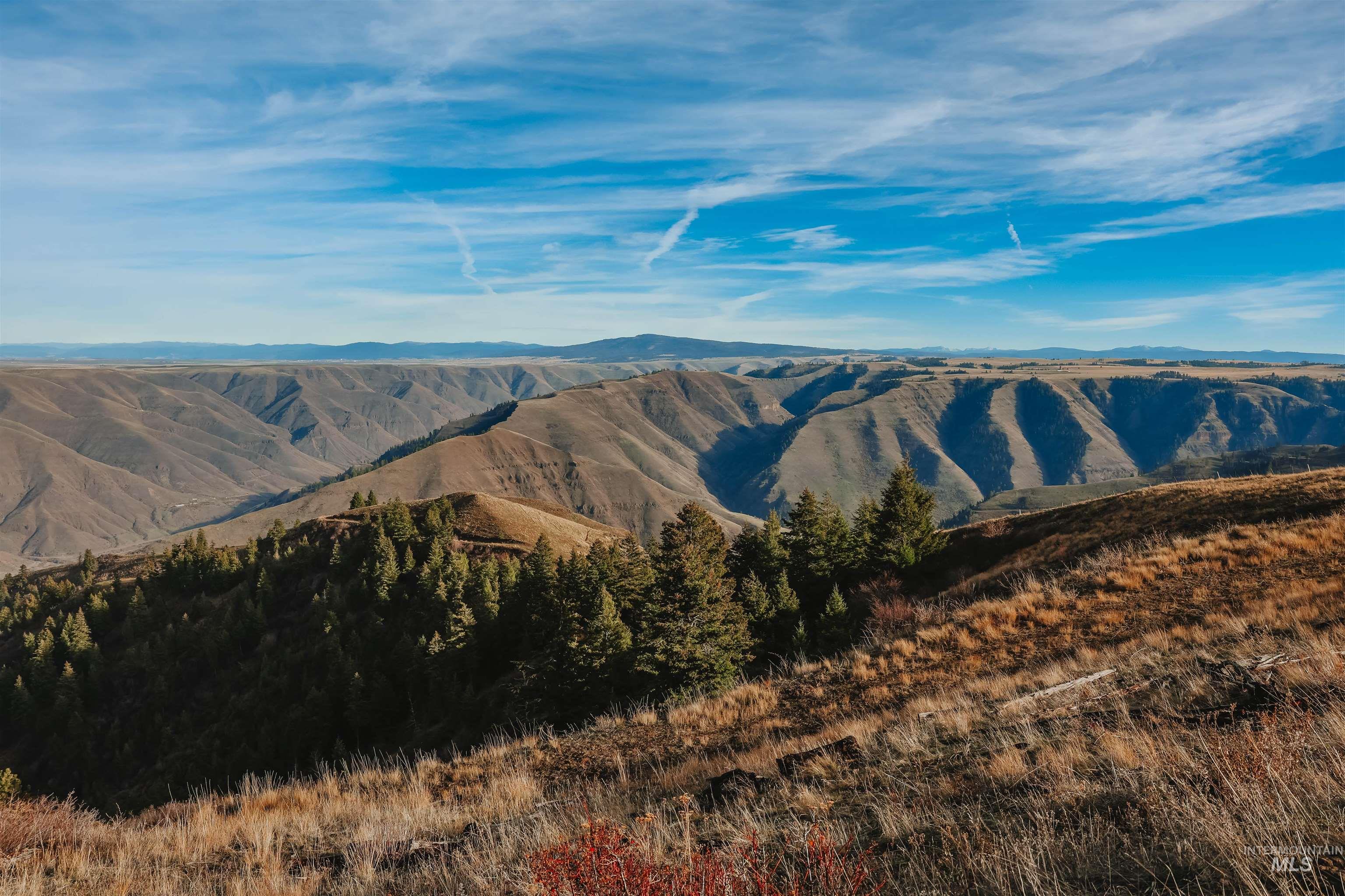 TBD Boles Road, CottonWood, Idaho 83522, Land For Sale, Price $1,500,000, 98969065