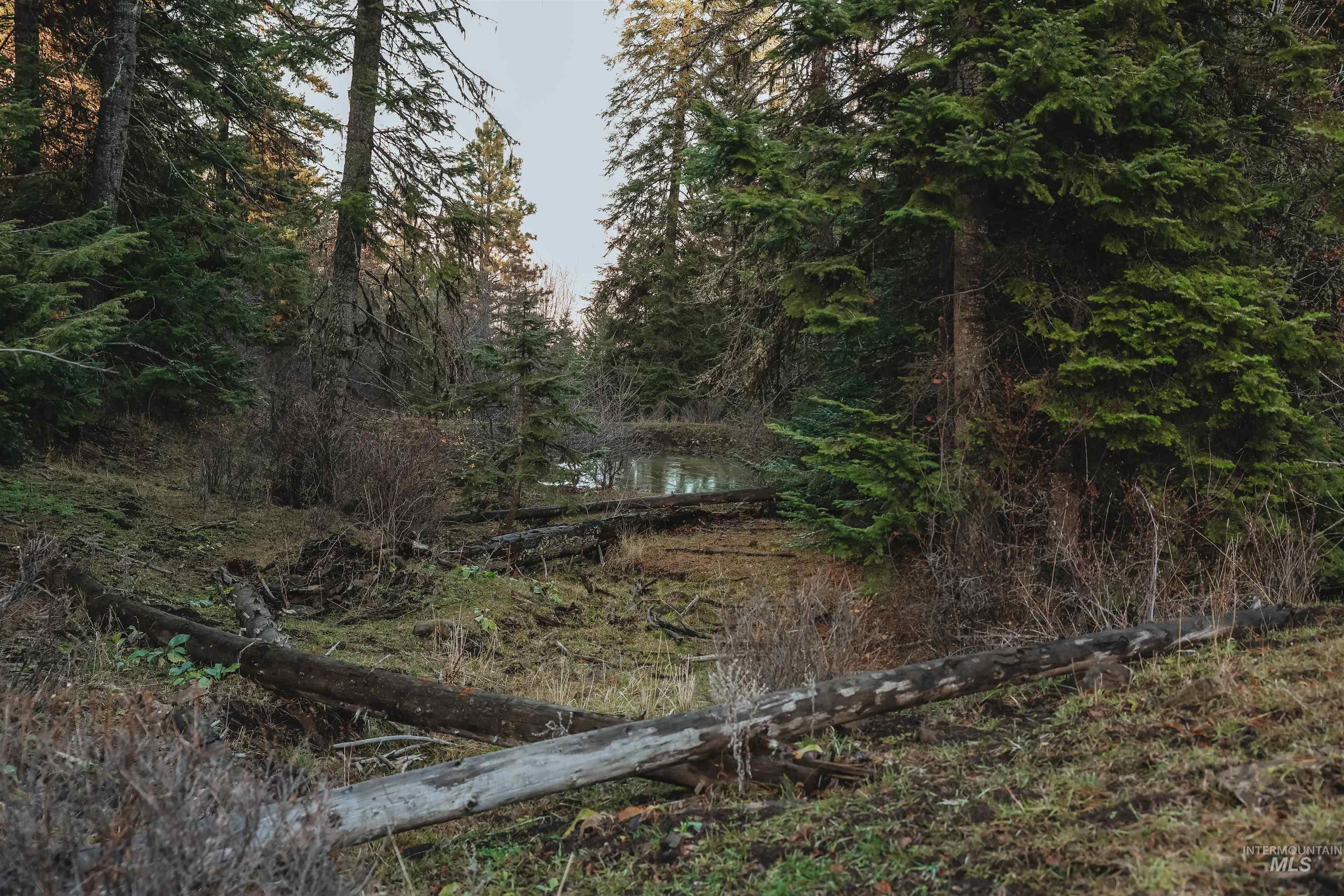 TBD Boles Road, CottonWood, Idaho 83522, Land For Sale, Price $1,500,000, 98969065