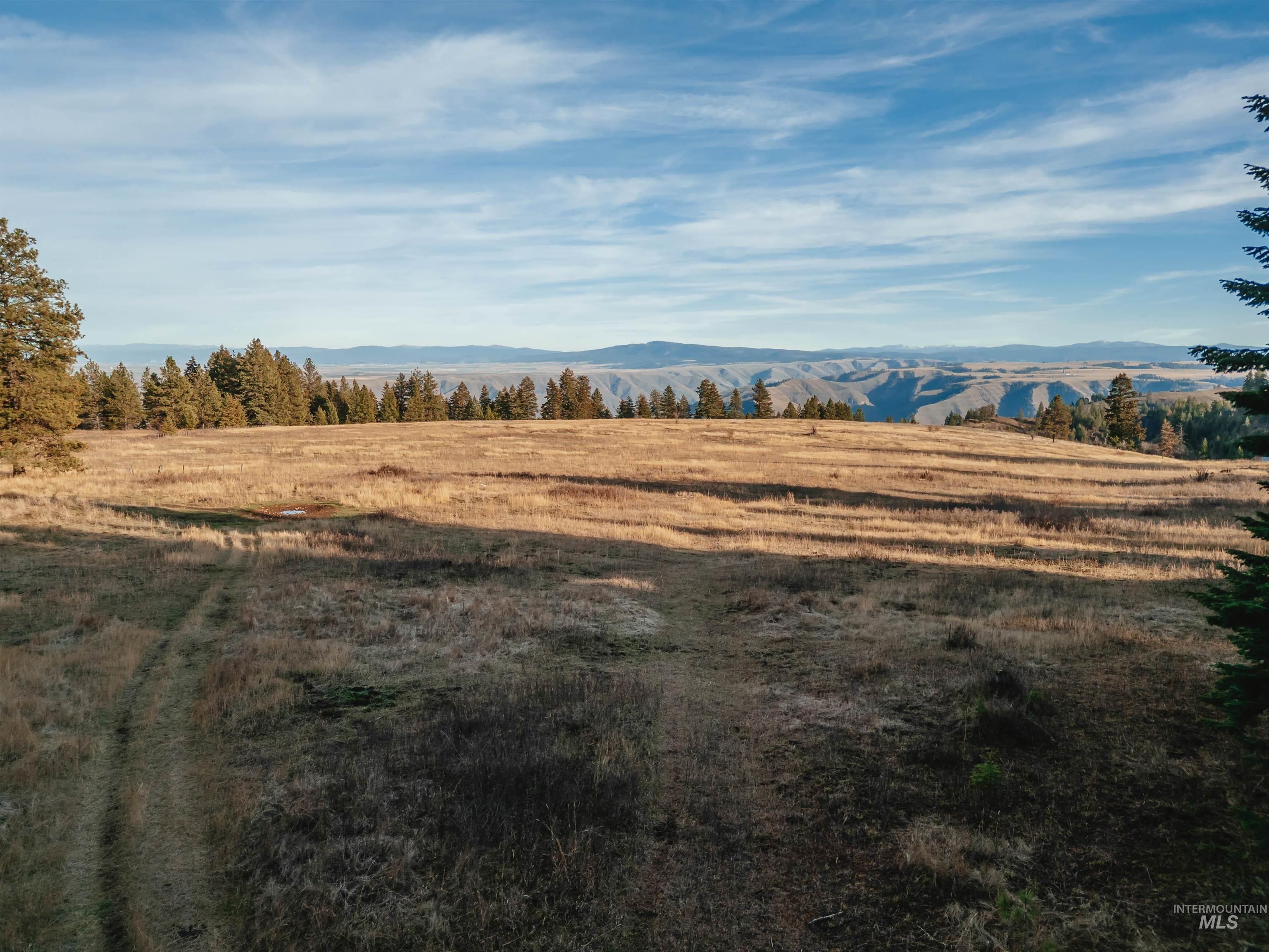 TBD Boles Road, CottonWood, Idaho 83522, Land For Sale, Price $1,500,000, 98969065