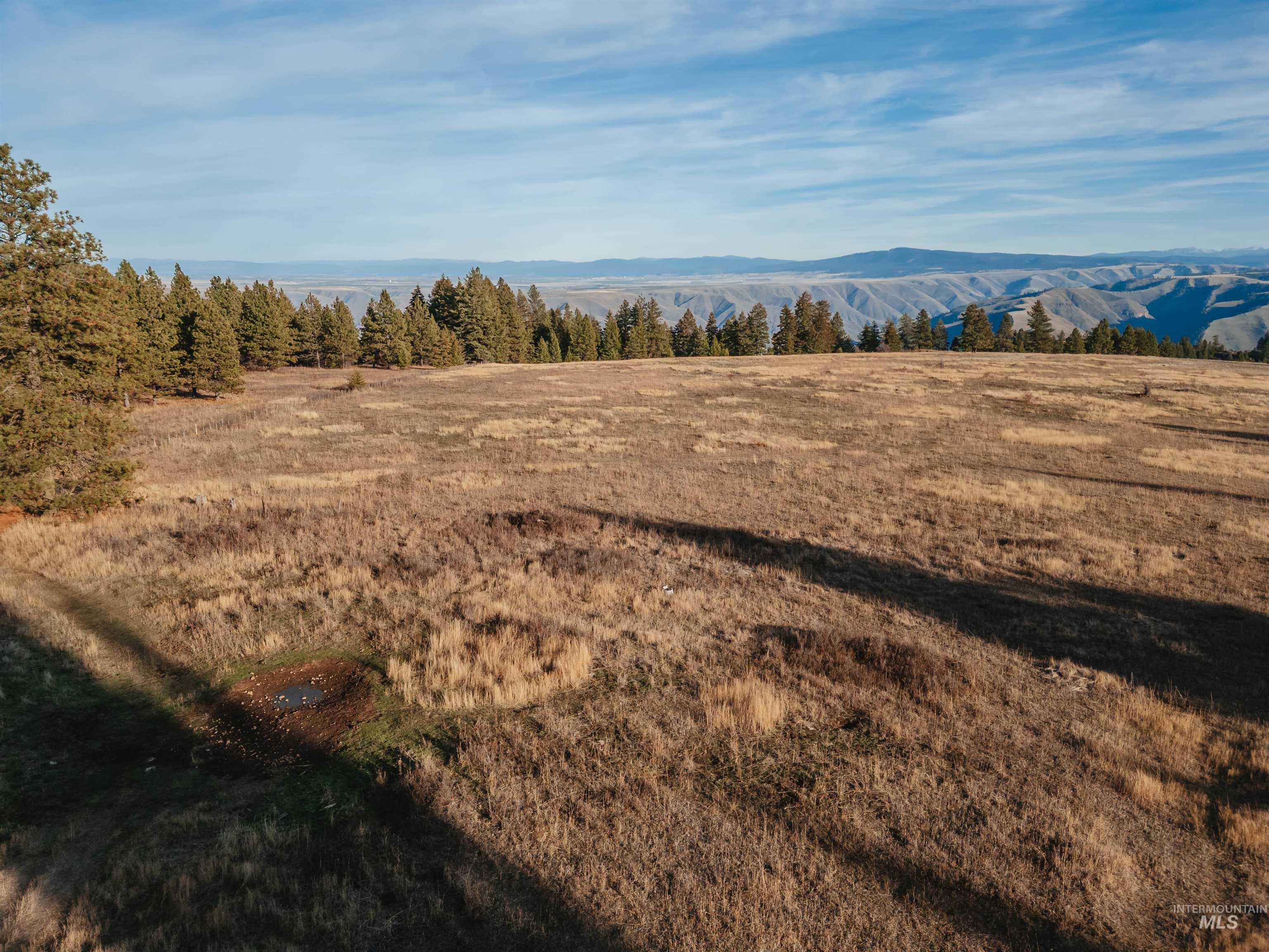 TBD Boles Road, CottonWood, Idaho 83522, Land For Sale, Price $1,500,000, 98969065