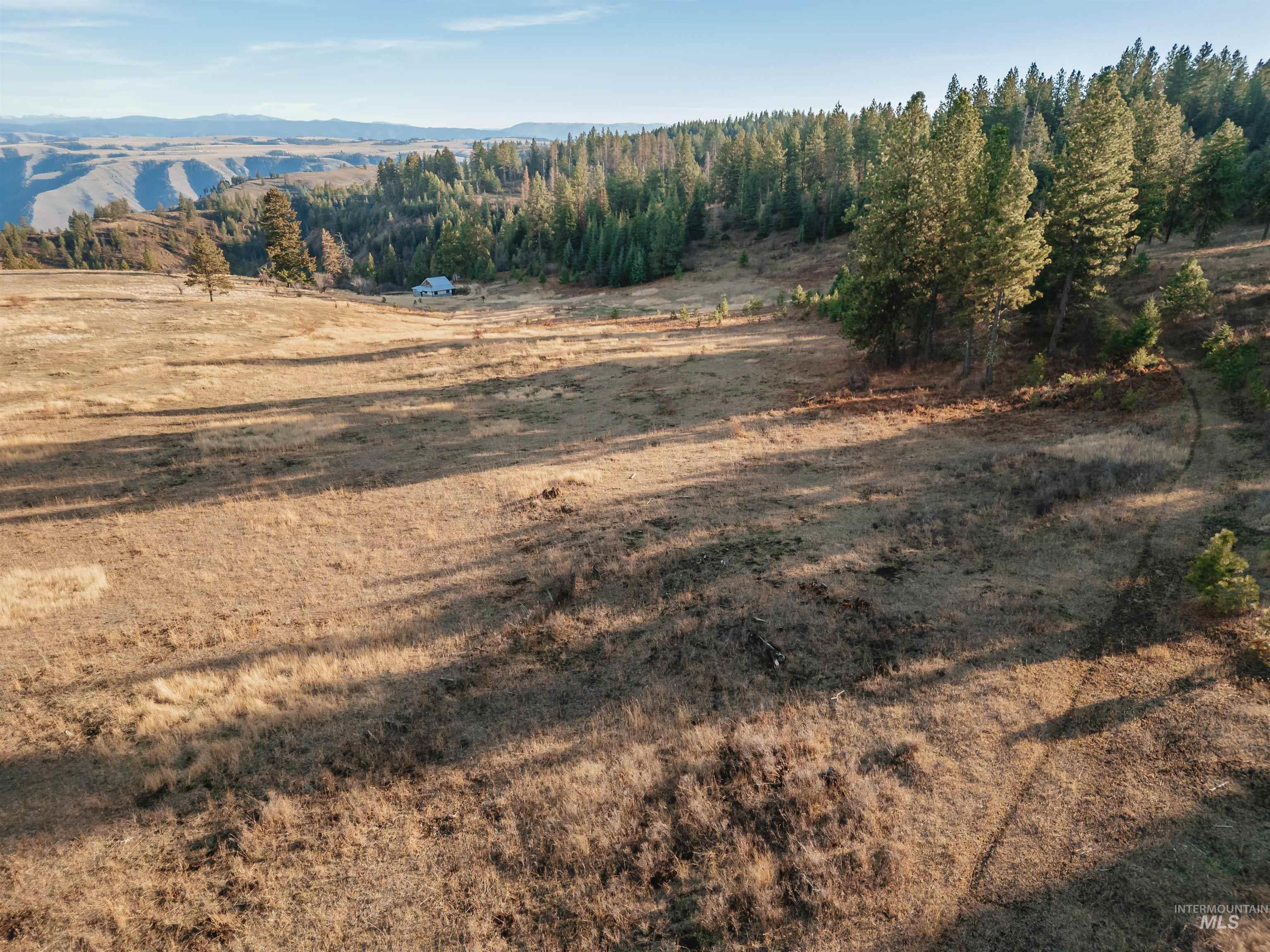 TBD Boles Road, CottonWood, Idaho 83522, Land For Sale, Price $1,500,000, 98969065