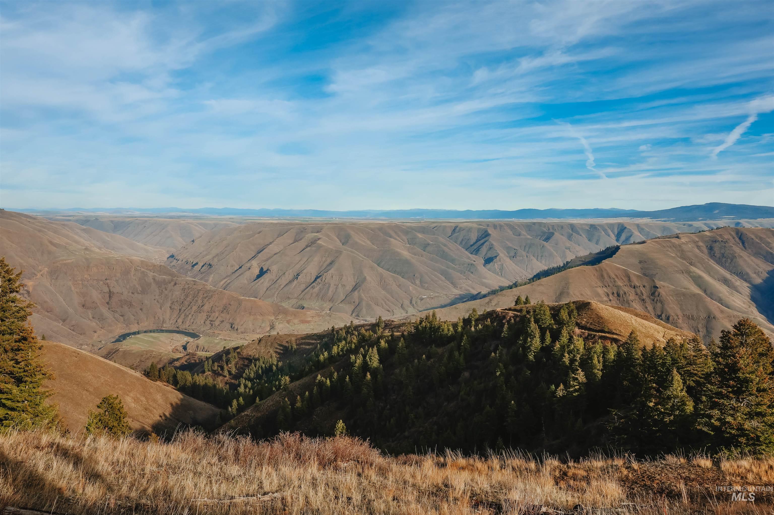 TBD Boles Road, CottonWood, Idaho 83522, Land For Sale, Price $1,500,000,MLS 98969065