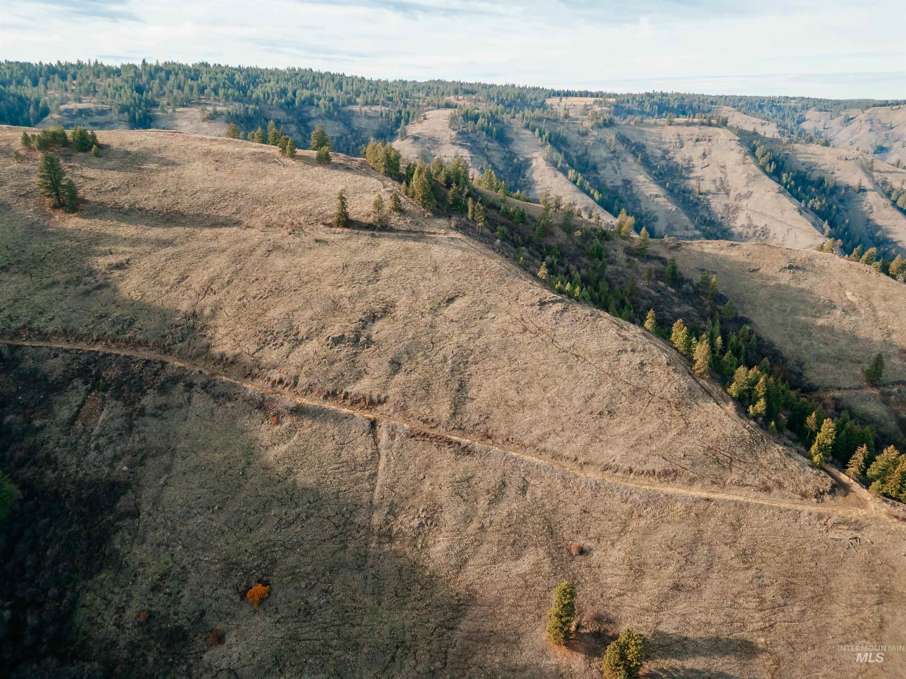 TBD Boles Road, CottonWood, Idaho 83522, Land For Sale, Price $1,500,000, 98969065