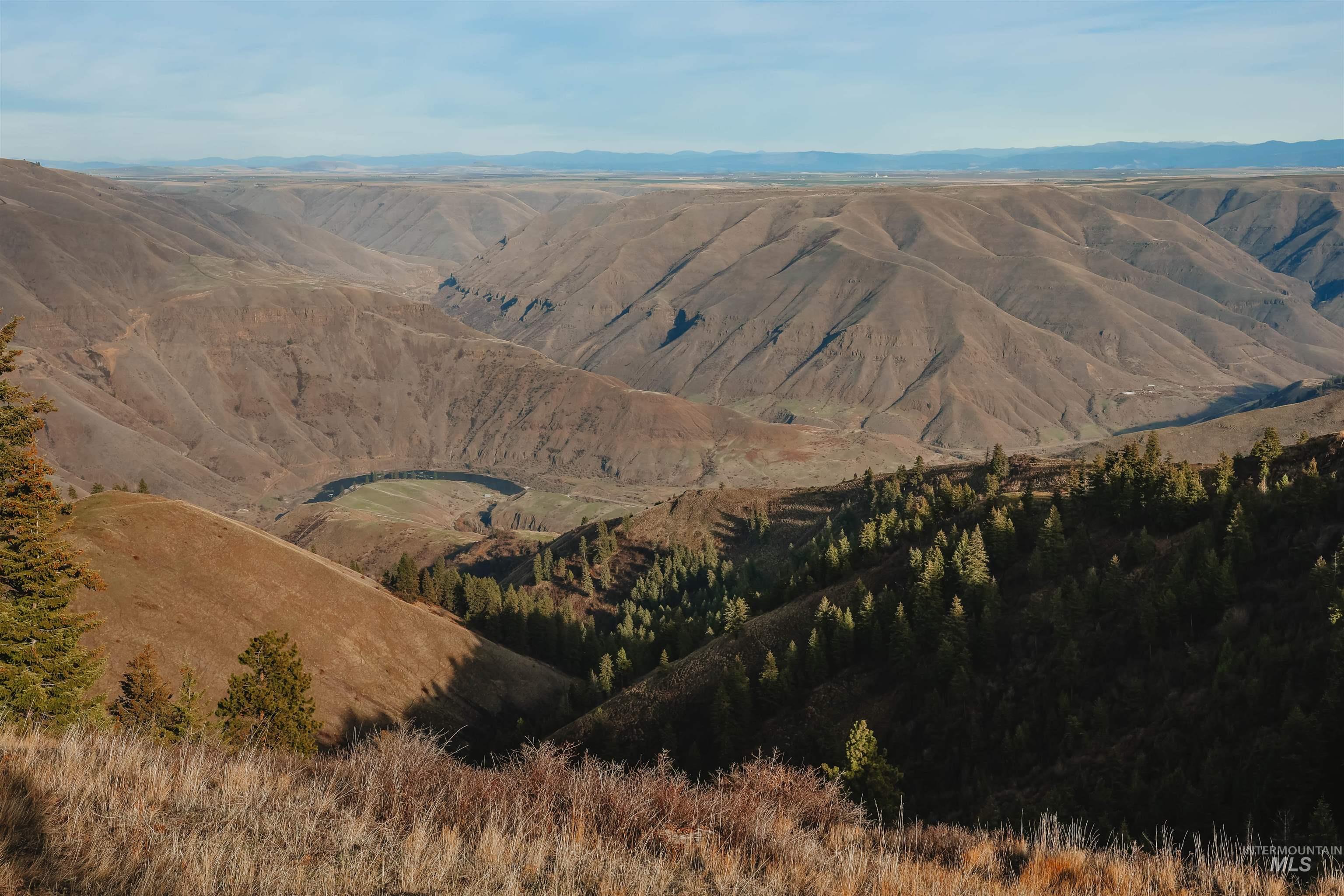 TBD Boles Road, CottonWood, Idaho 83522, Land For Sale, Price $1,500,000,MLS 98969065