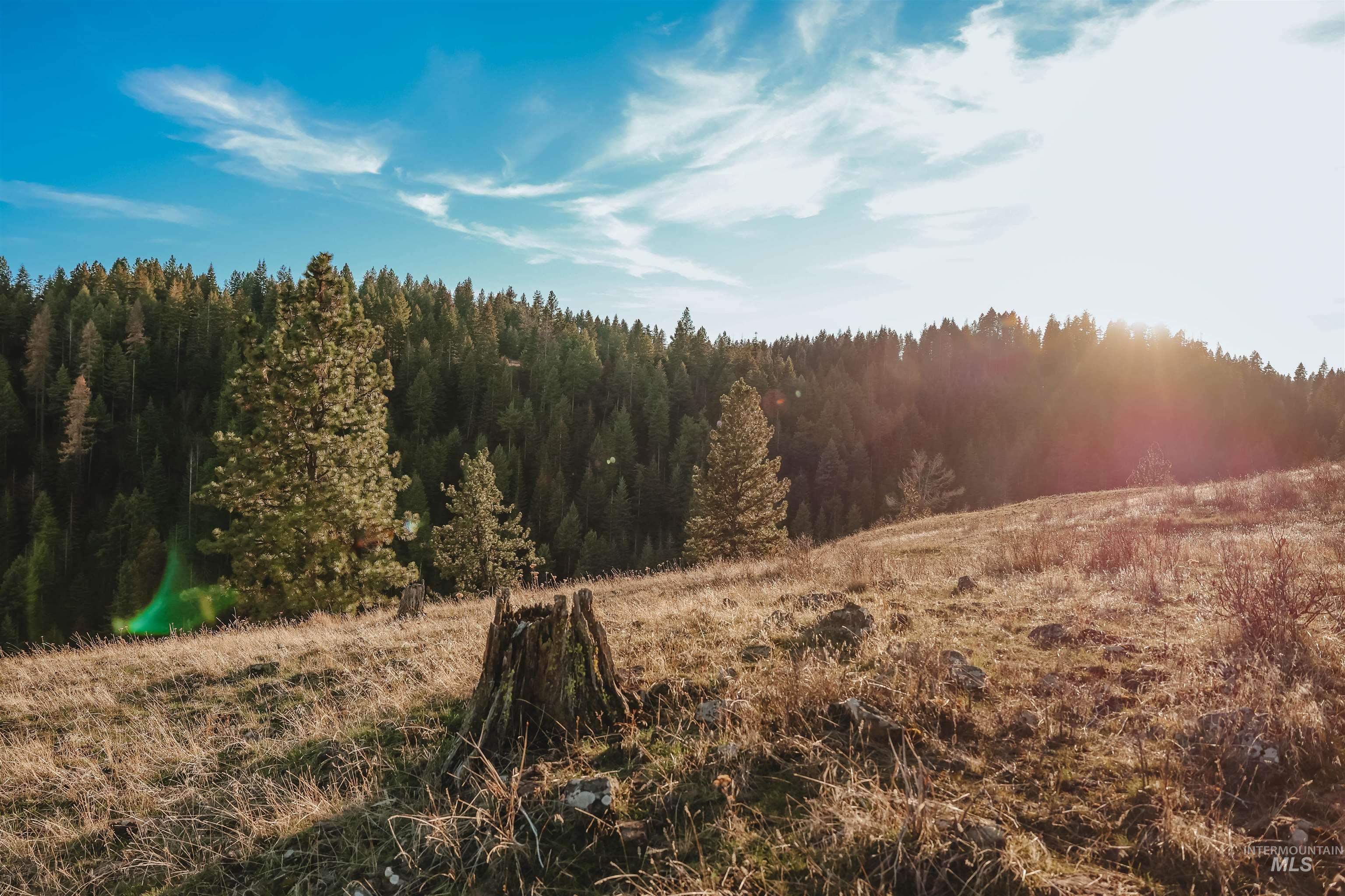 TBD Boles Road, CottonWood, Idaho 83522, Land For Sale, Price $1,500,000,MLS 98969065