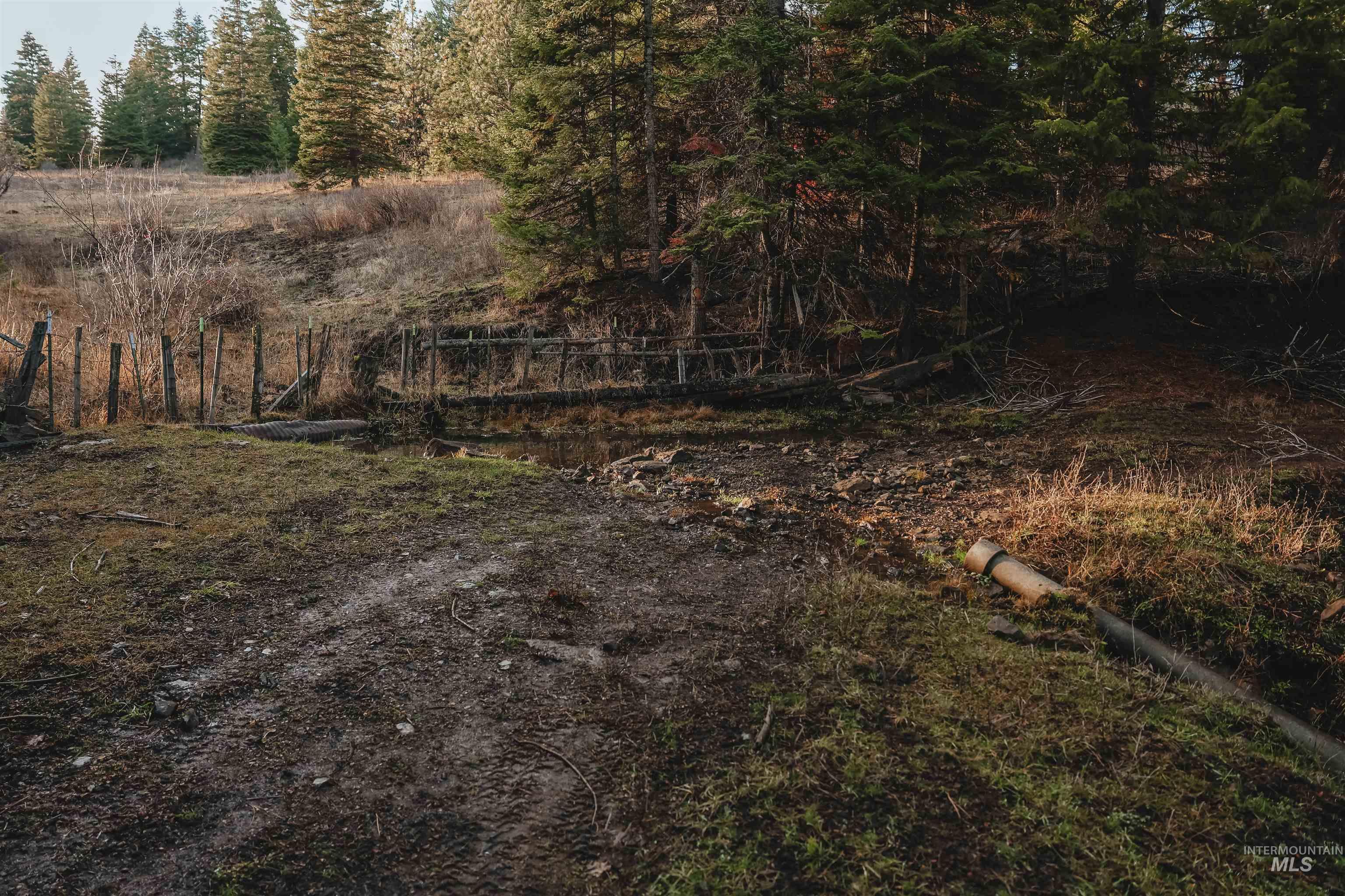 TBD Boles Road, CottonWood, Idaho 83522, Land For Sale, Price $1,500,000,MLS 98969065