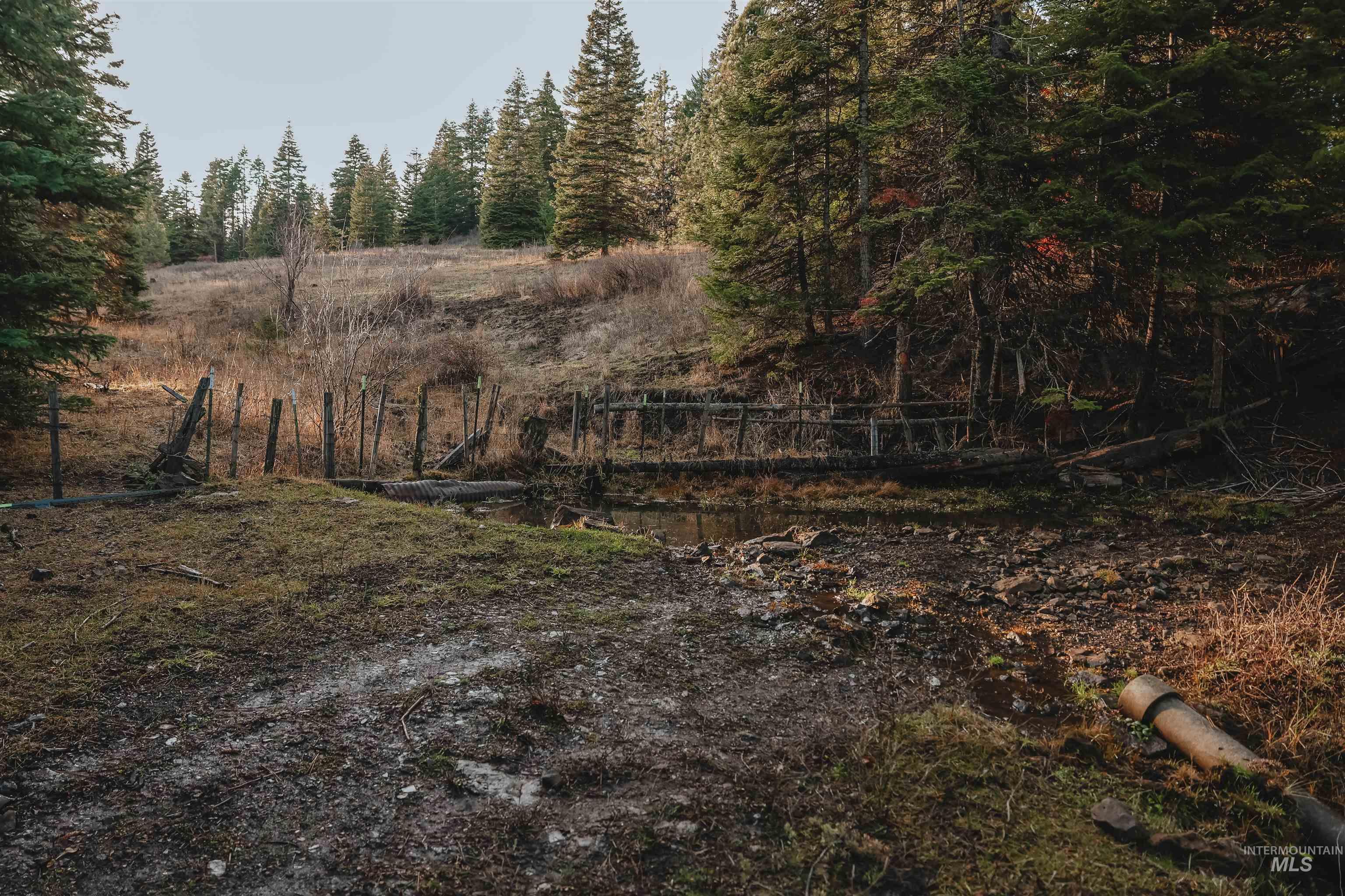 TBD Boles Road, CottonWood, Idaho 83522, Land For Sale, Price $1,500,000,MLS 98969065