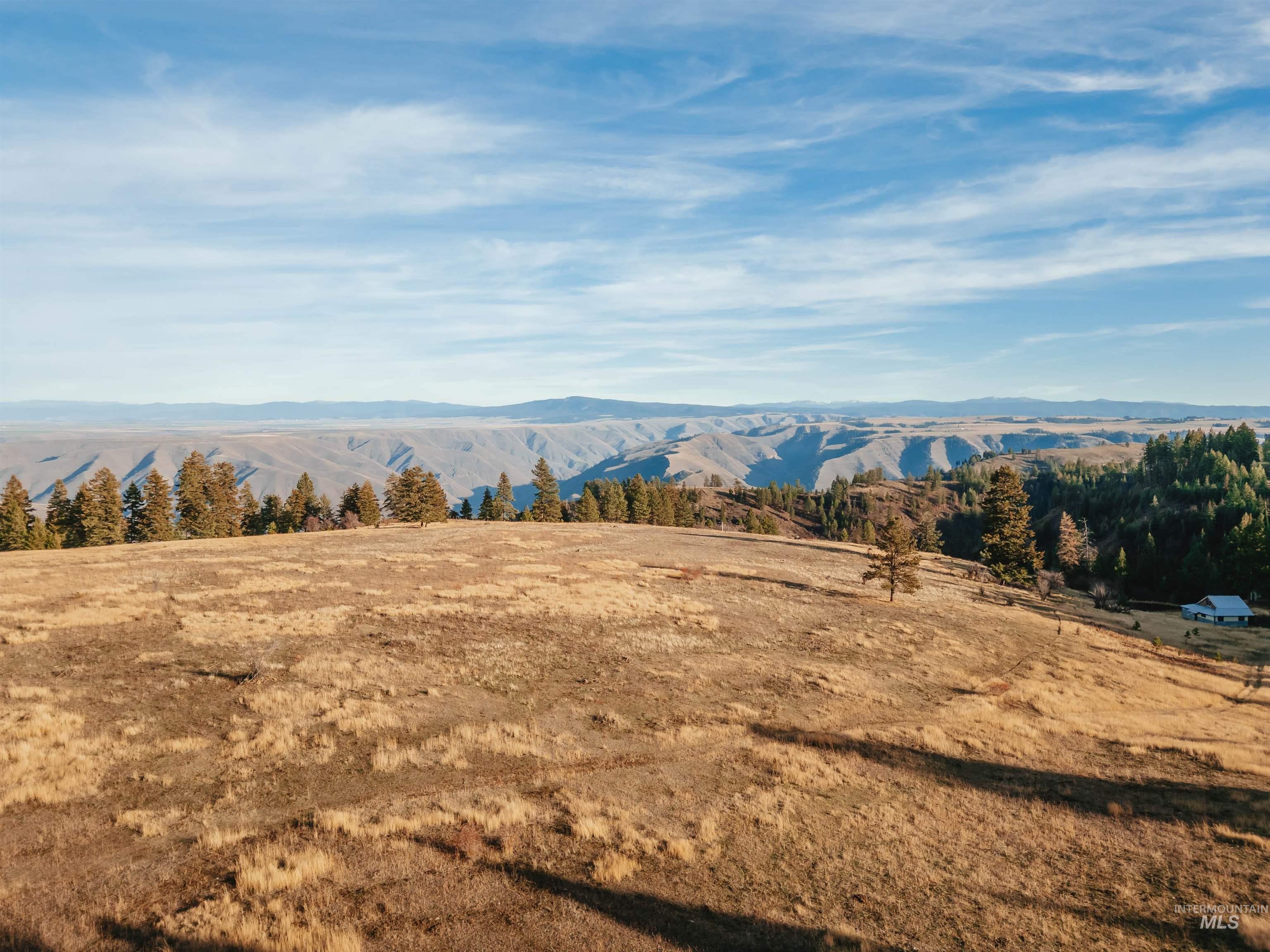 TBD Boles Road, CottonWood, Idaho 83522, Land For Sale, Price $1,500,000, 98969065