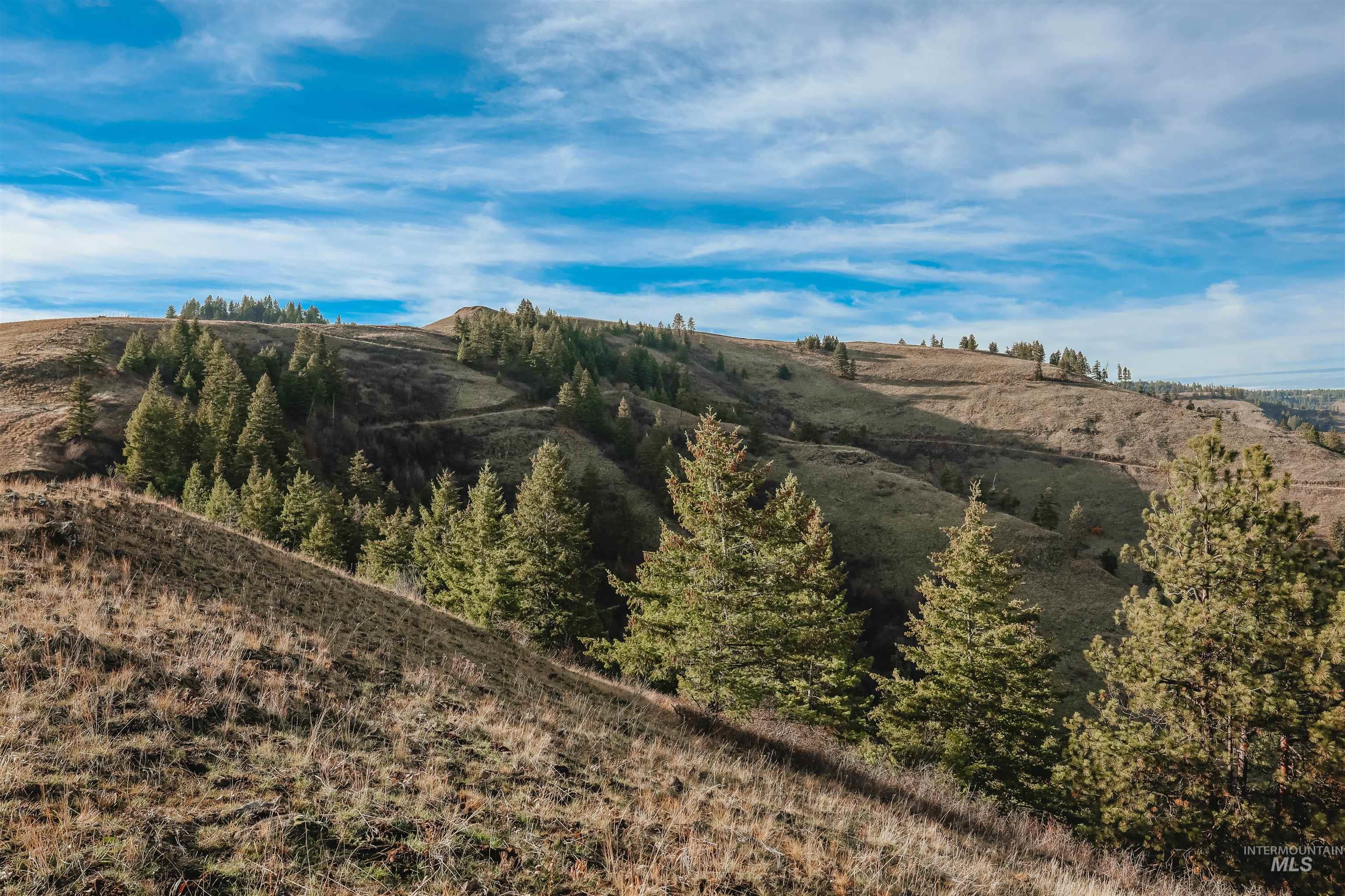 TBD Boles Road, CottonWood, Idaho 83522, Land For Sale, Price $1,500,000,MLS 98969065