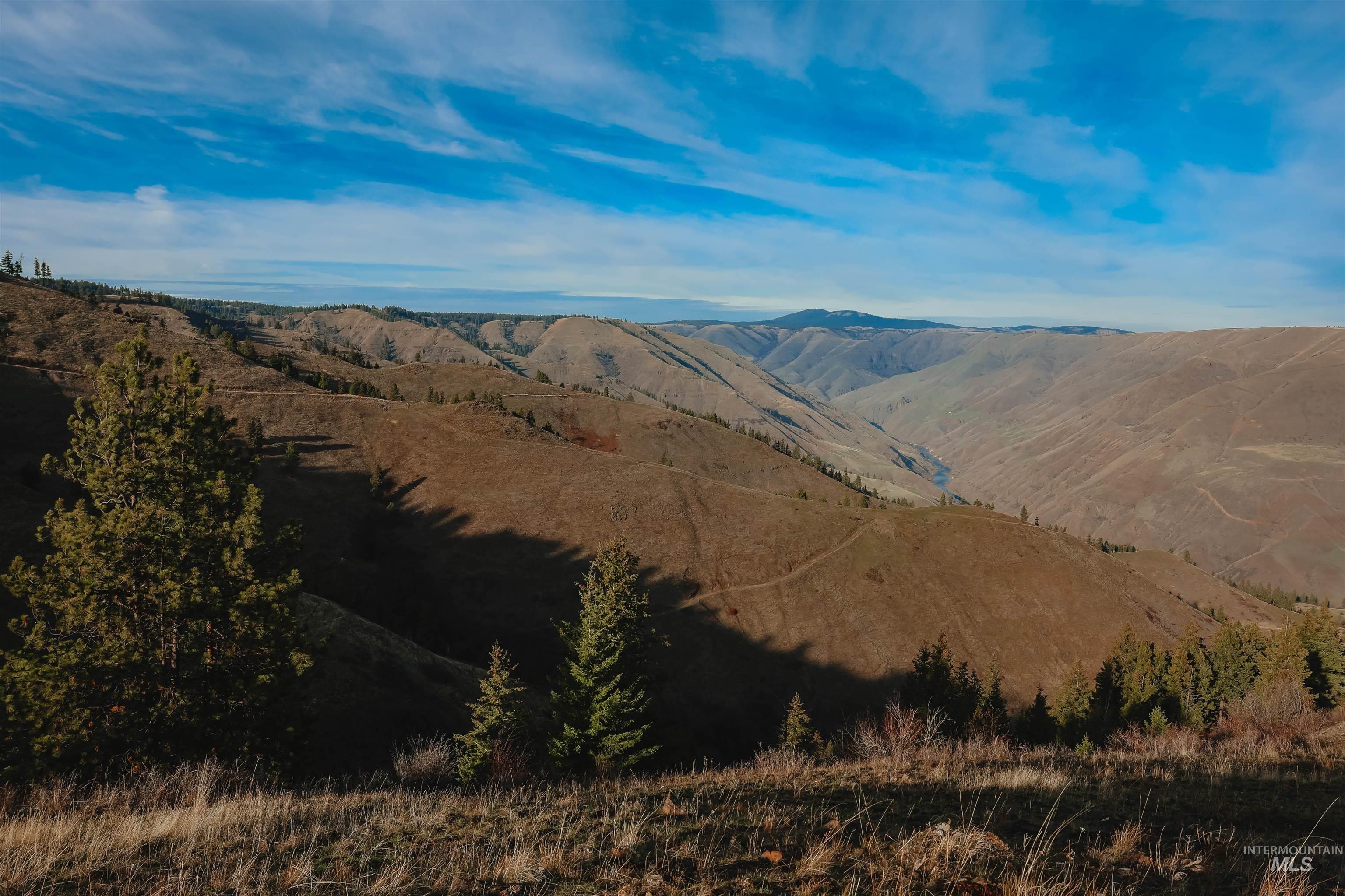 TBD Boles Road, CottonWood, Idaho 83522, Land For Sale, Price $1,500,000,MLS 98969065