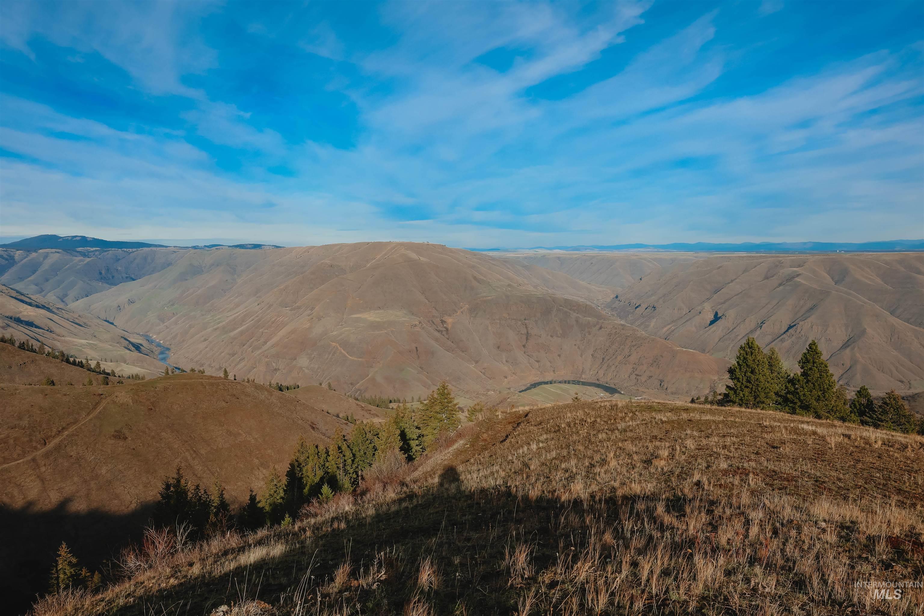 TBD Boles Road, CottonWood, Idaho 83522, Land For Sale, Price $1,500,000,MLS 98969065