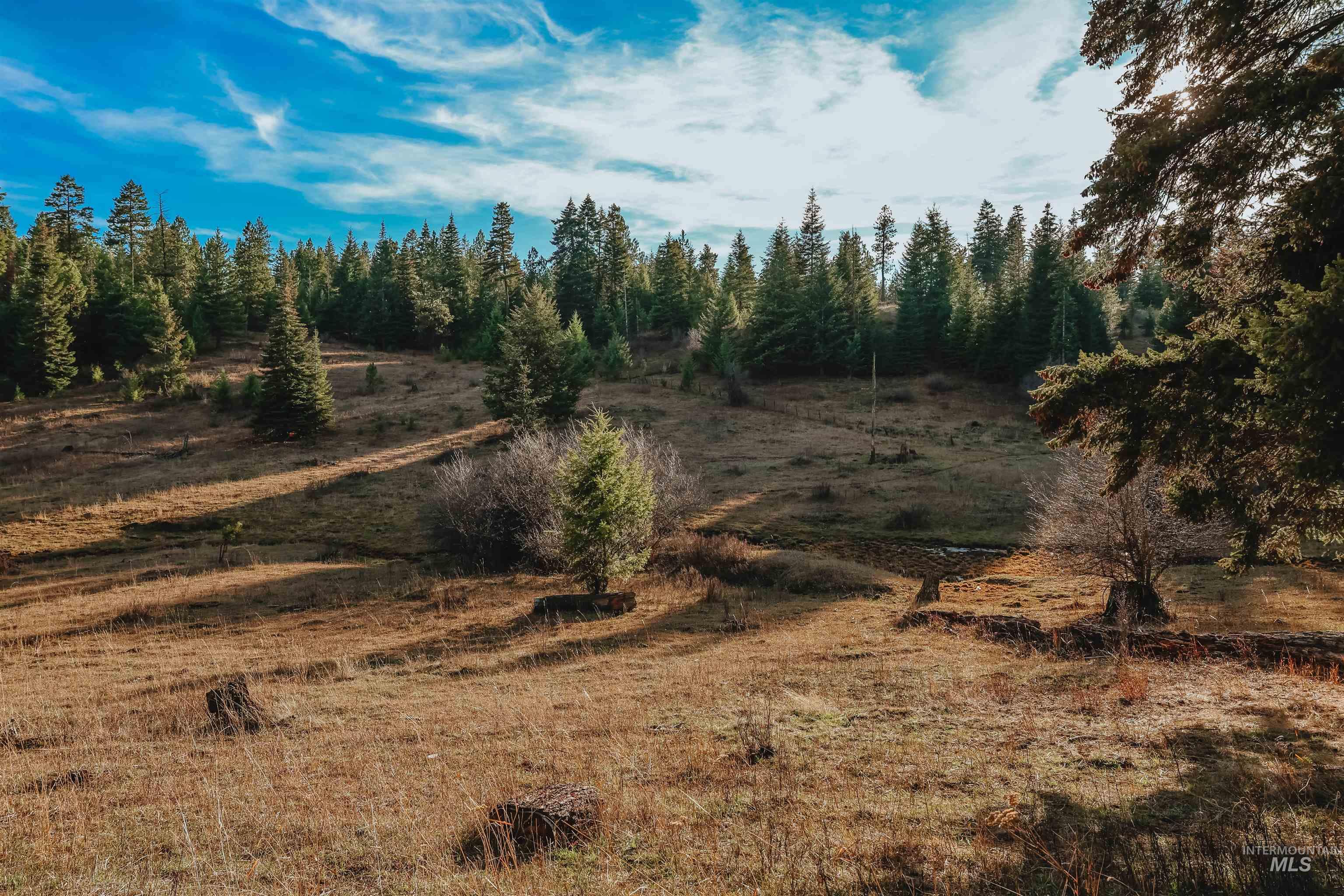 TBD Boles Road, CottonWood, Idaho 83522, Land For Sale, Price $1,500,000,MLS 98969065