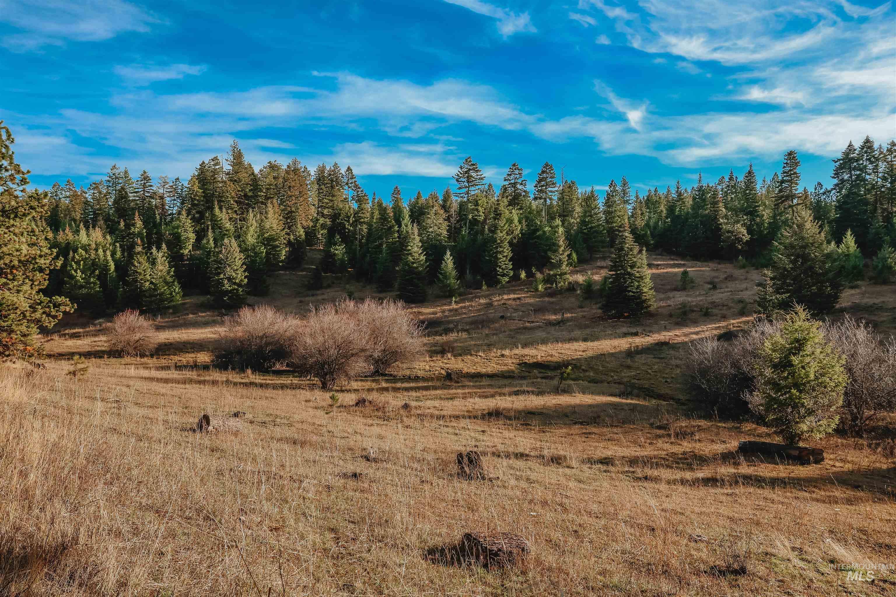 TBD Boles Road, CottonWood, Idaho 83522, Land For Sale, Price $1,500,000,MLS 98969065