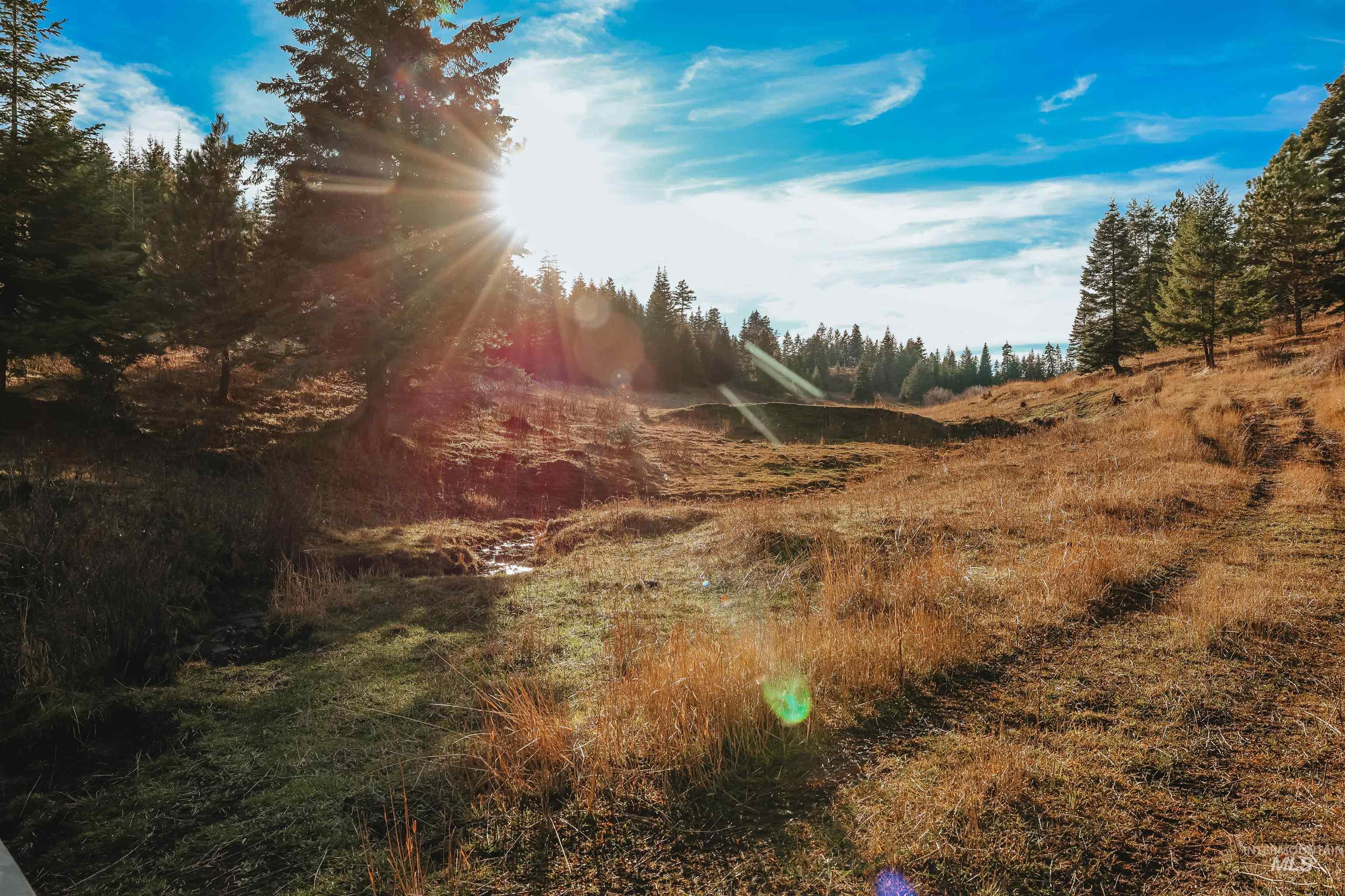 TBD Boles Road, CottonWood, Idaho 83522, Land For Sale, Price $1,500,000,MLS 98969065