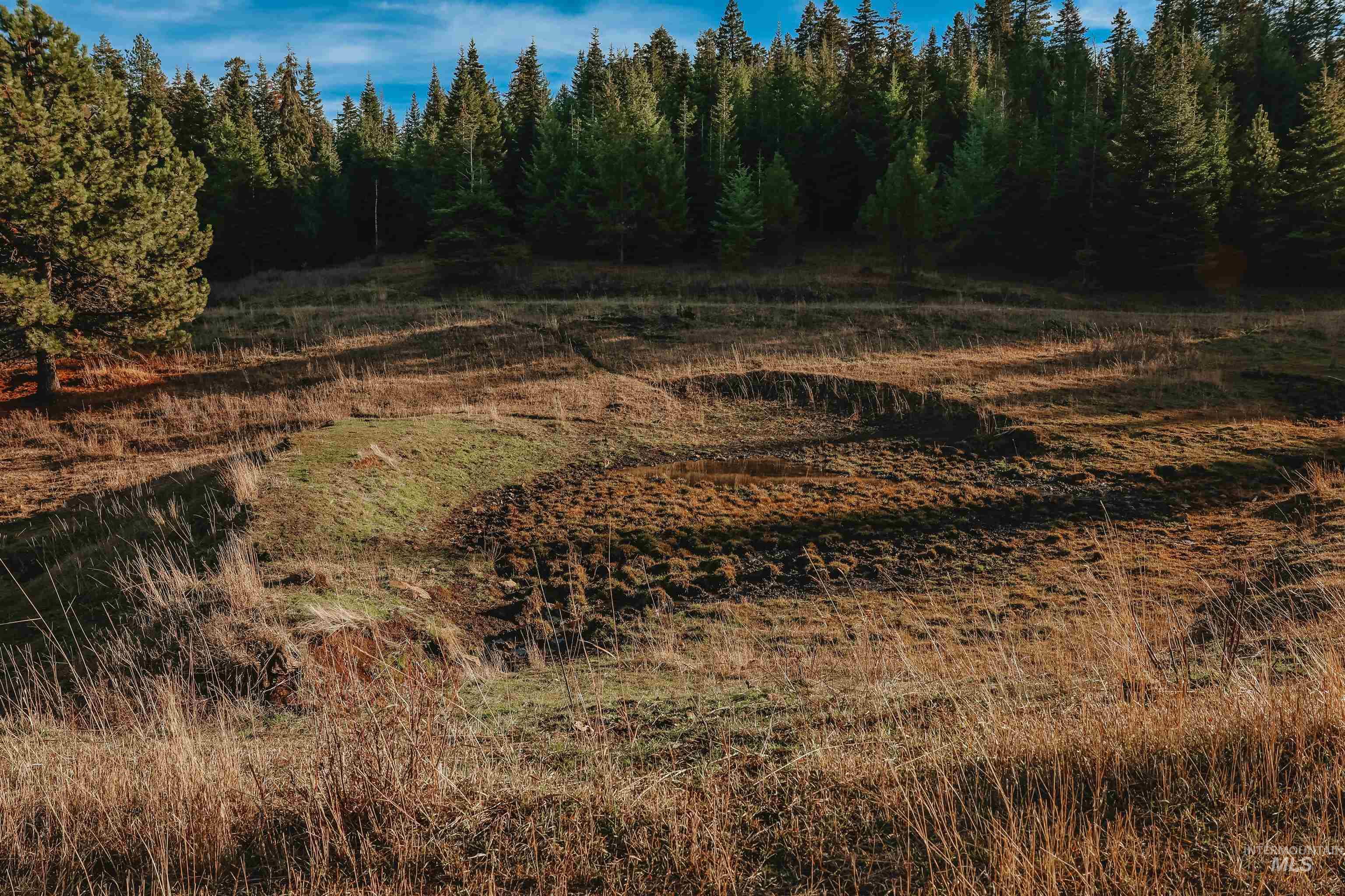 TBD Boles Road, CottonWood, Idaho 83522, Land For Sale, Price $1,500,000,MLS 98969065