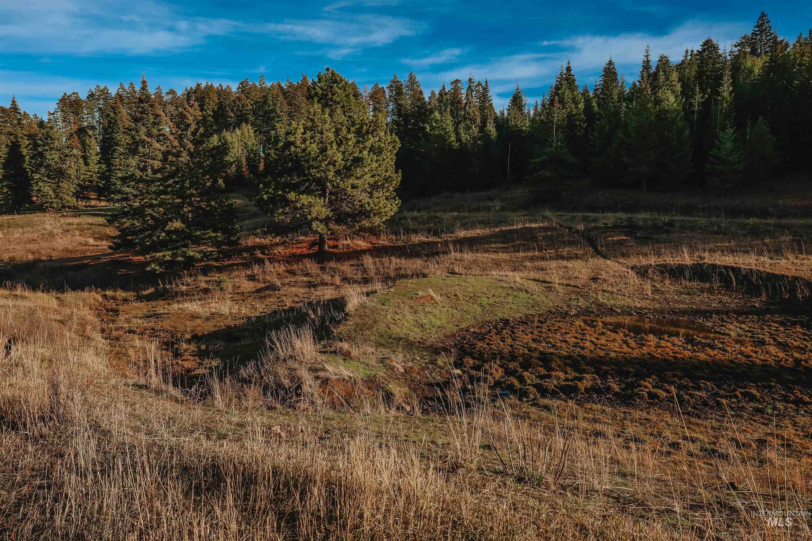 TBD Boles Road, CottonWood, Idaho 83522, Land For Sale, Price $1,500,000,MLS 98969065