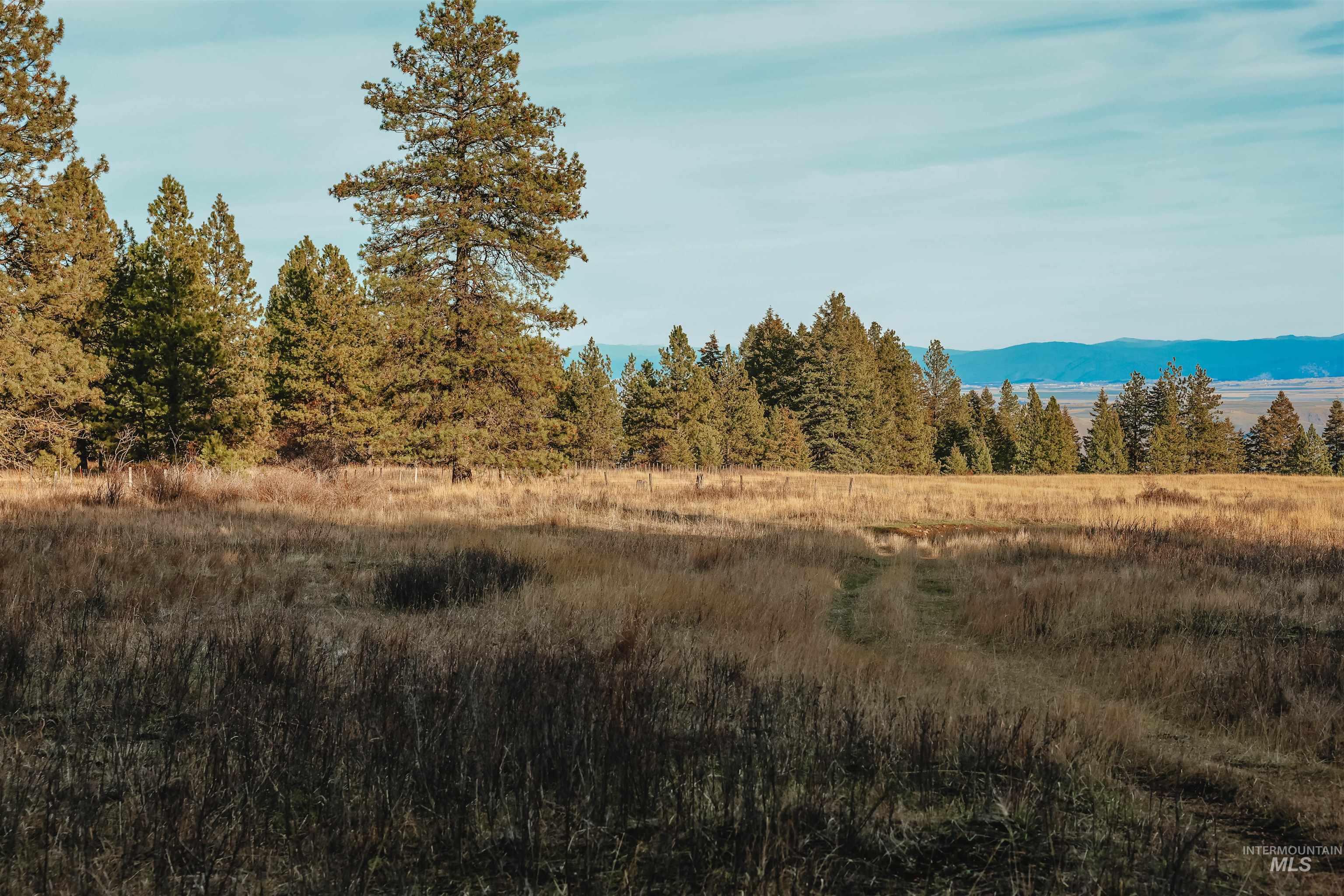 TBD Boles Road, CottonWood, Idaho 83522, Land For Sale, Price $1,500,000,MLS 98969065